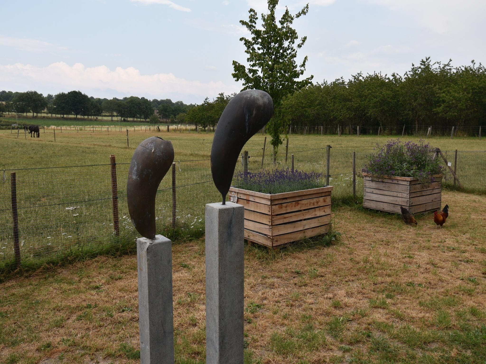 De tuin van Meschermolen 14 in Mesch-Eijsden
