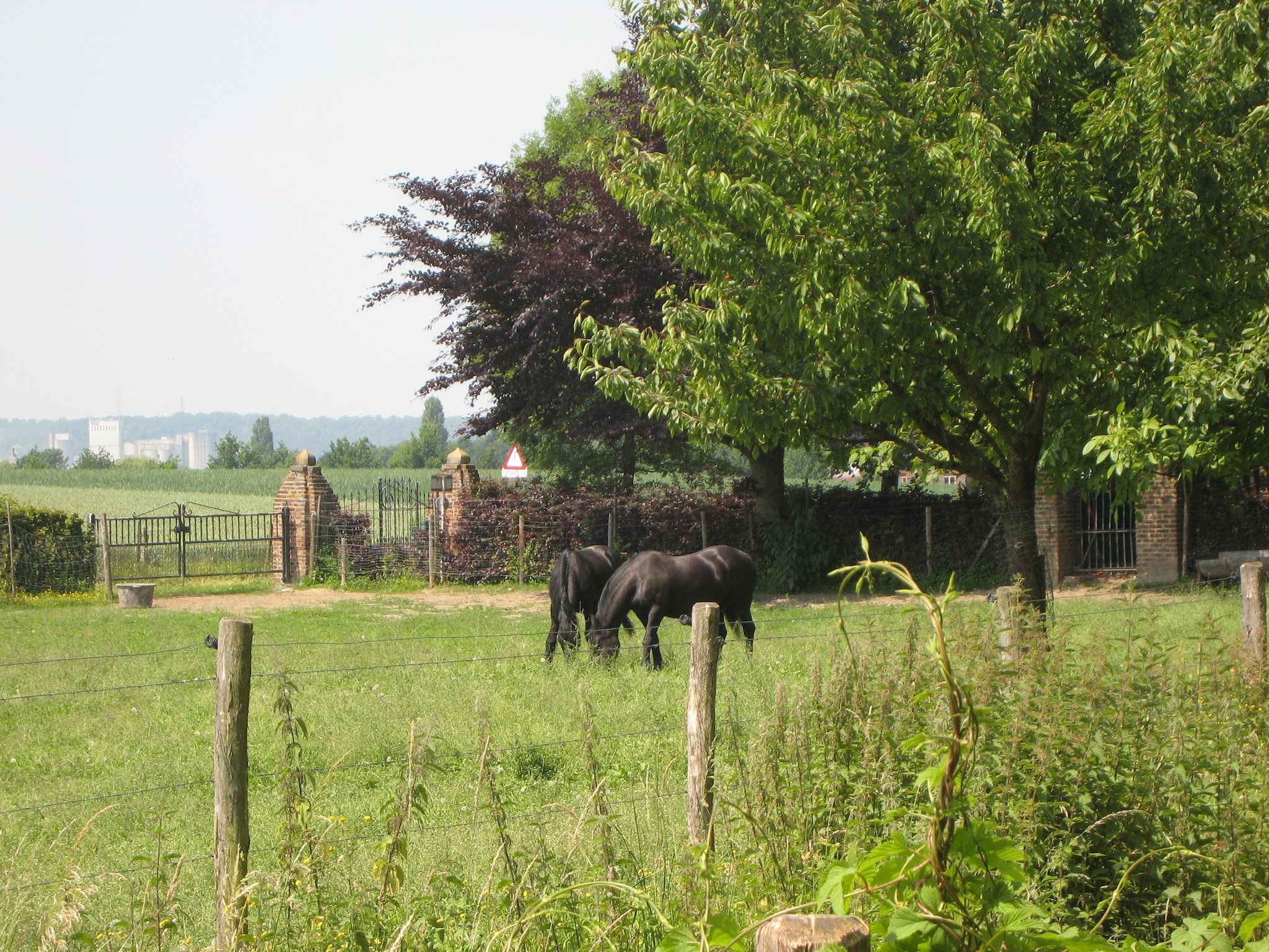 De tuin van Meschermolen 3 in Mesch-Eijsden