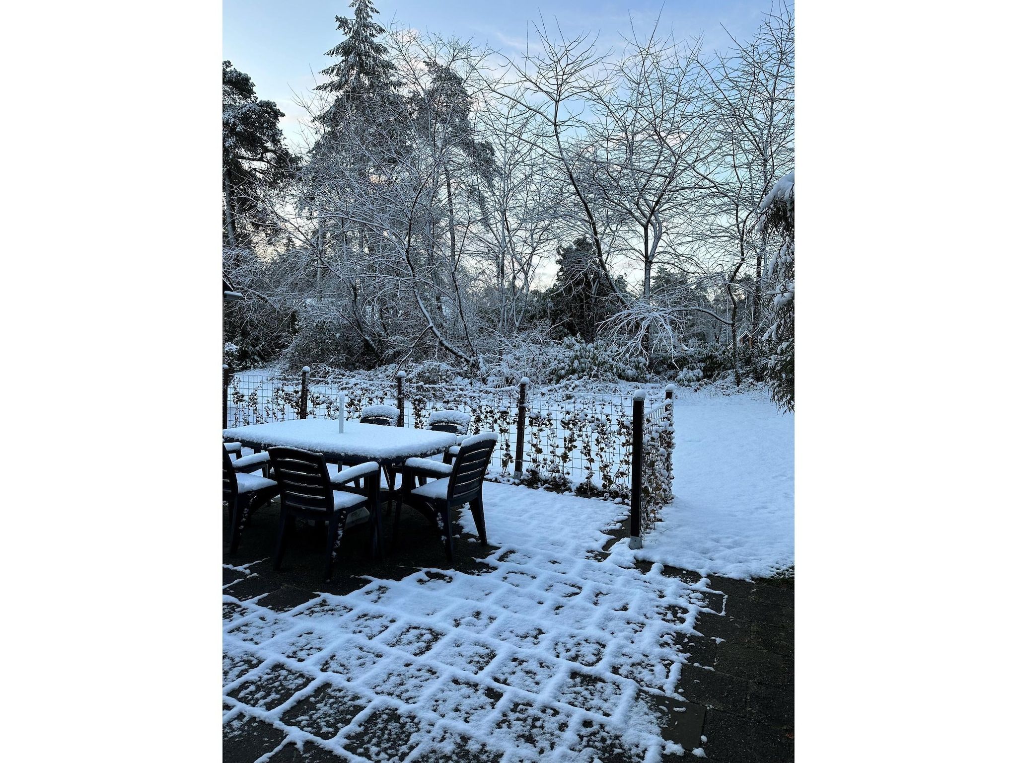 Het terras van BOSRIJK in Lochem