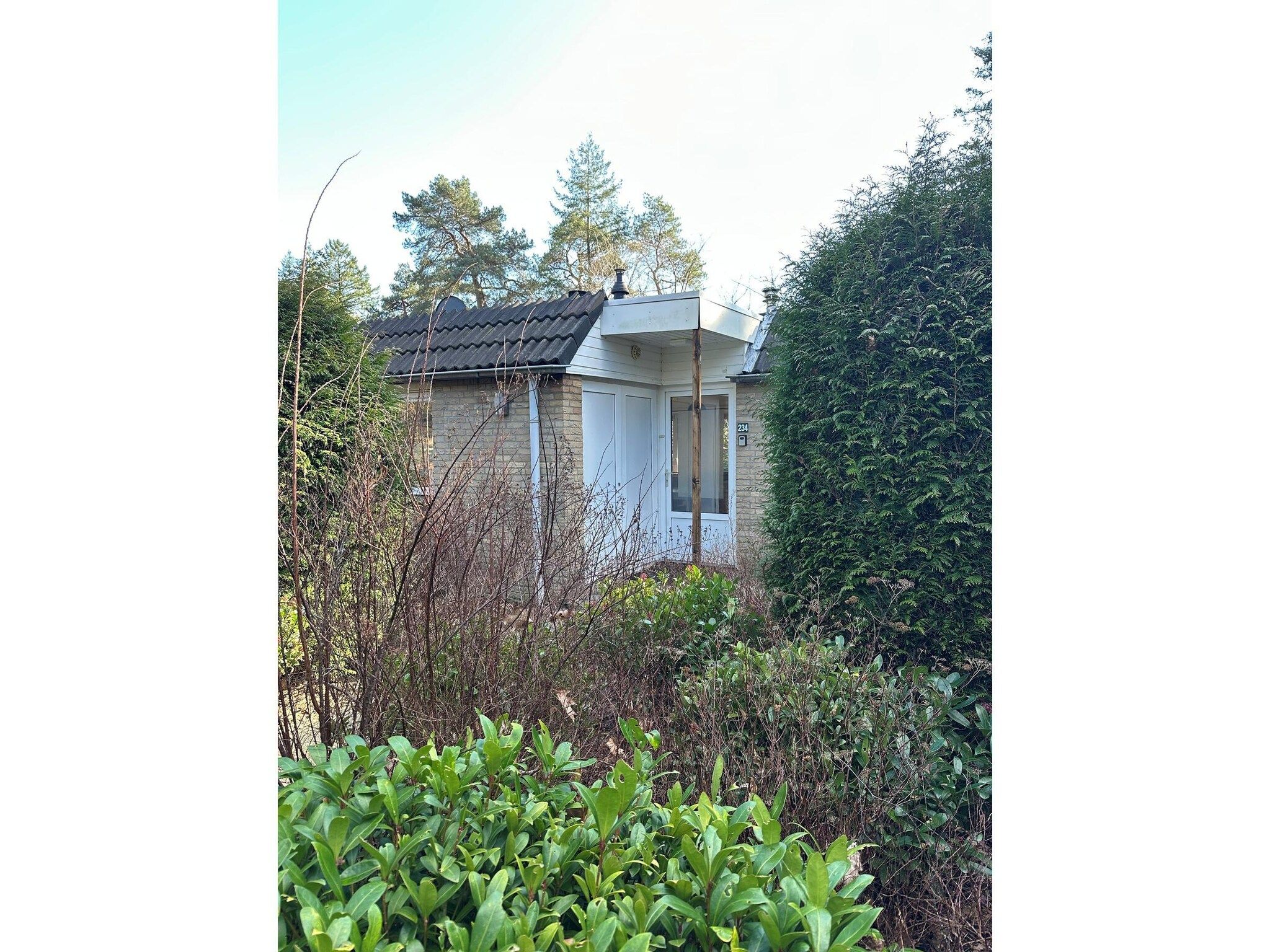 BOSRIJK in Lochem - Foto 25 van 27