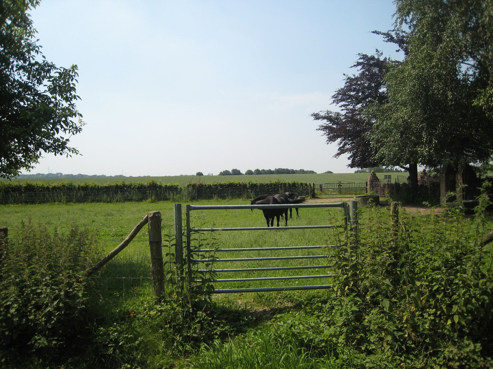 De tuin van Meschermolen 13 in Mesch-Eijsden