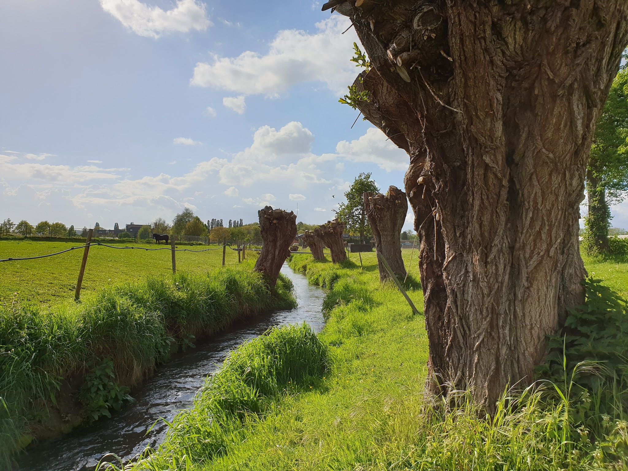 Meschermolen 13 in Mesch-Eijsden - Foto 33 van 36