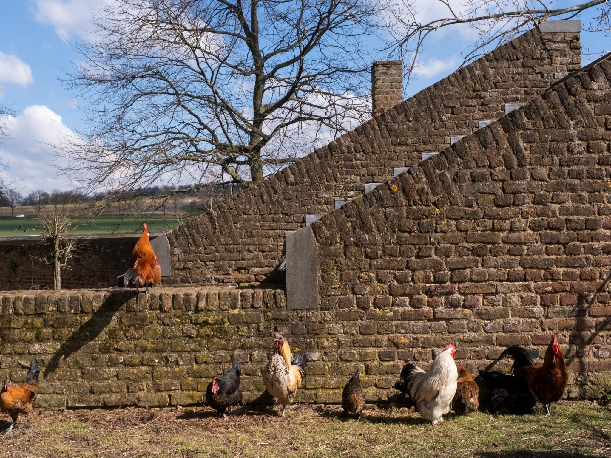 Voorzieningen bij Meschermolen 13 in Mesch-Eijsden