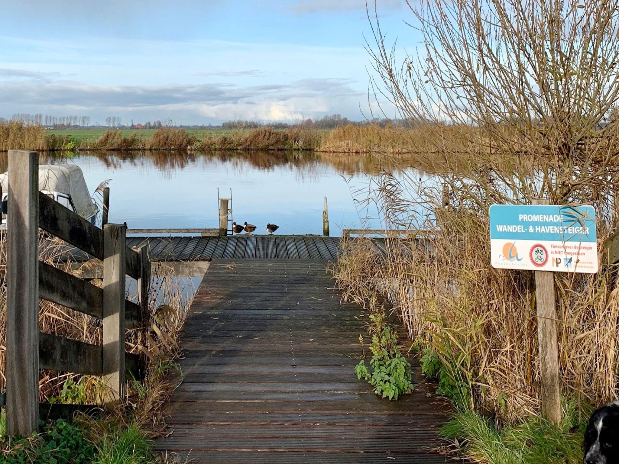 Combinatiewoningen Wolters in grou - Foto 25 van 33