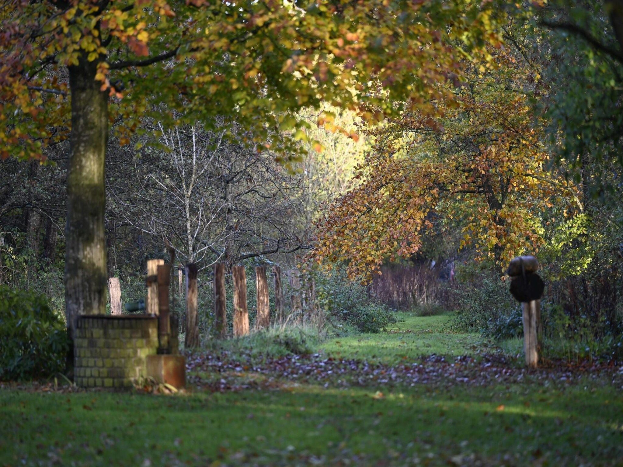 de Binnenhof in Vriezenveen - Foto 50 van 53