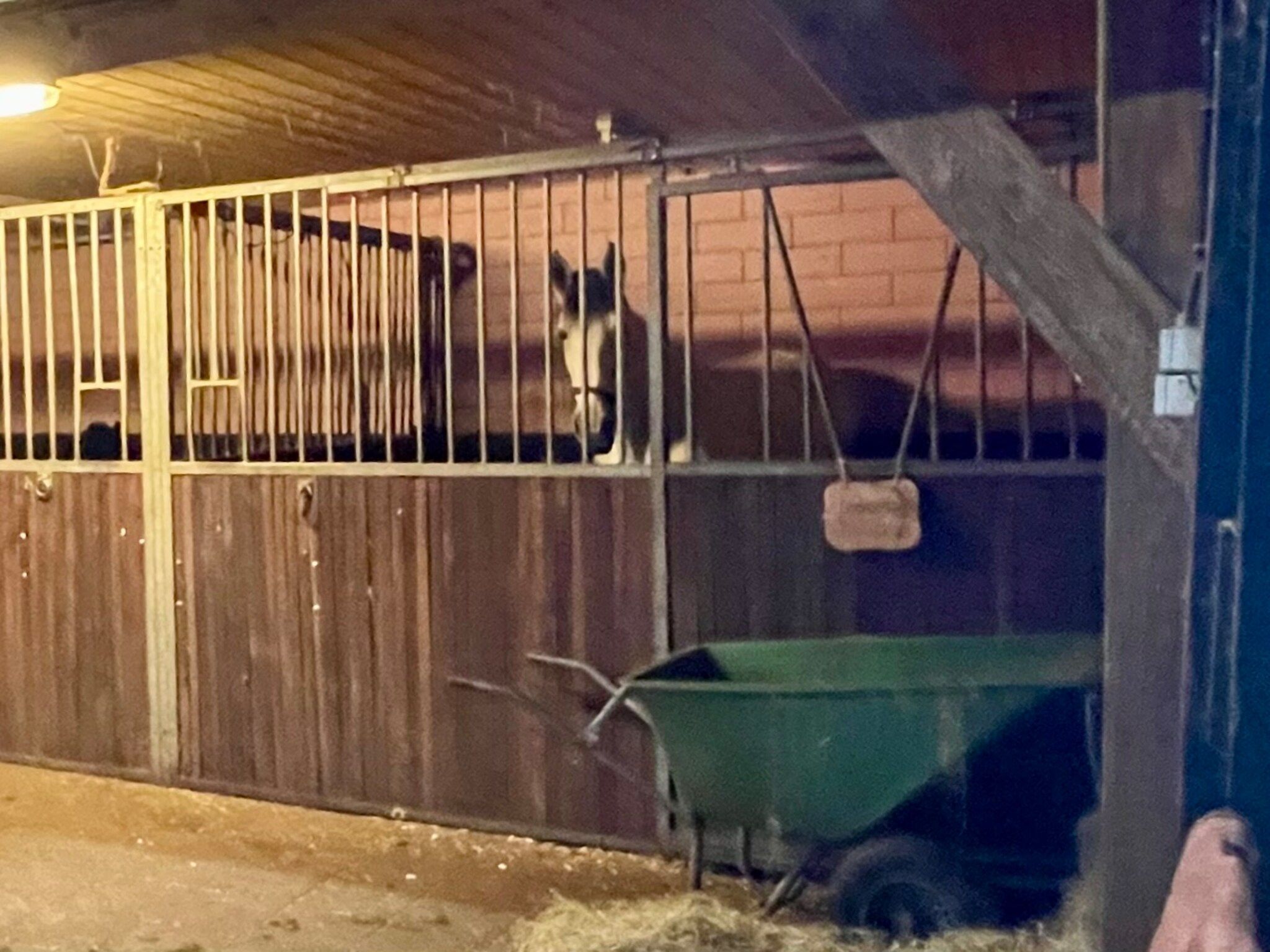 Voorzieningen bij de Binnenhof in Vriezenveen