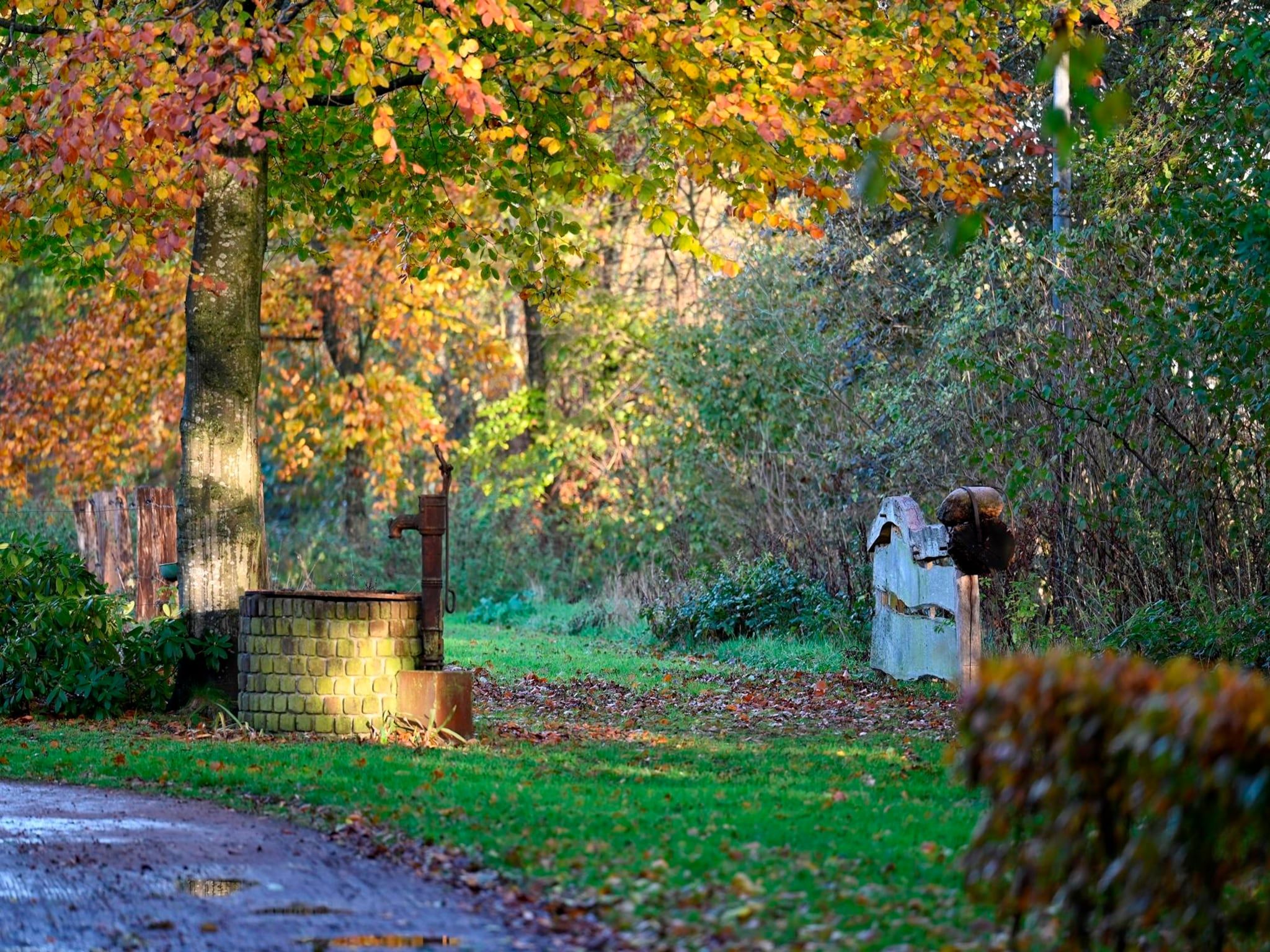 de Binnenhof in Vriezenveen - Foto 51 van 53