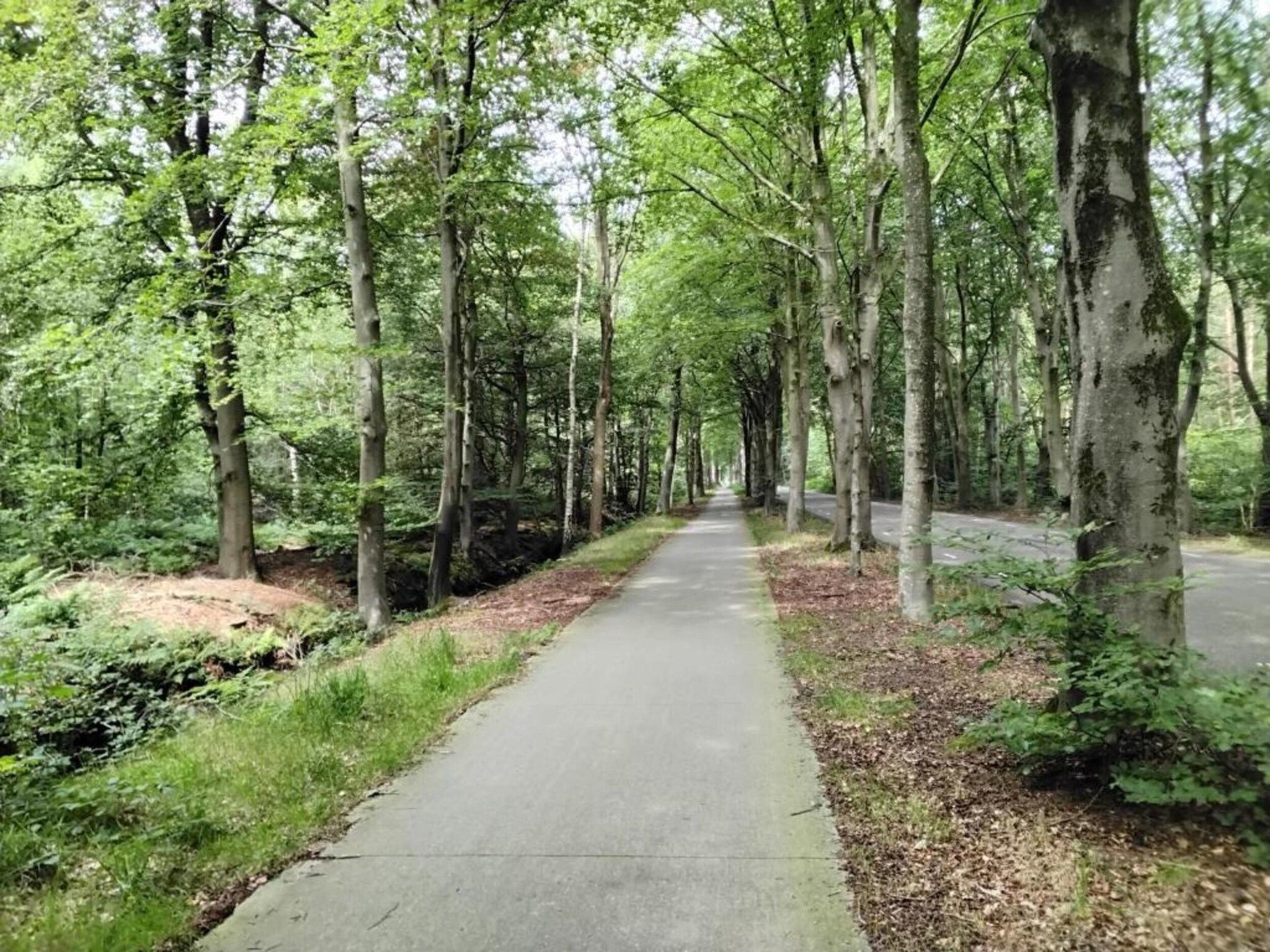 Meer van Eysinga in Sint Nicolaasga - Foto 21 van 31