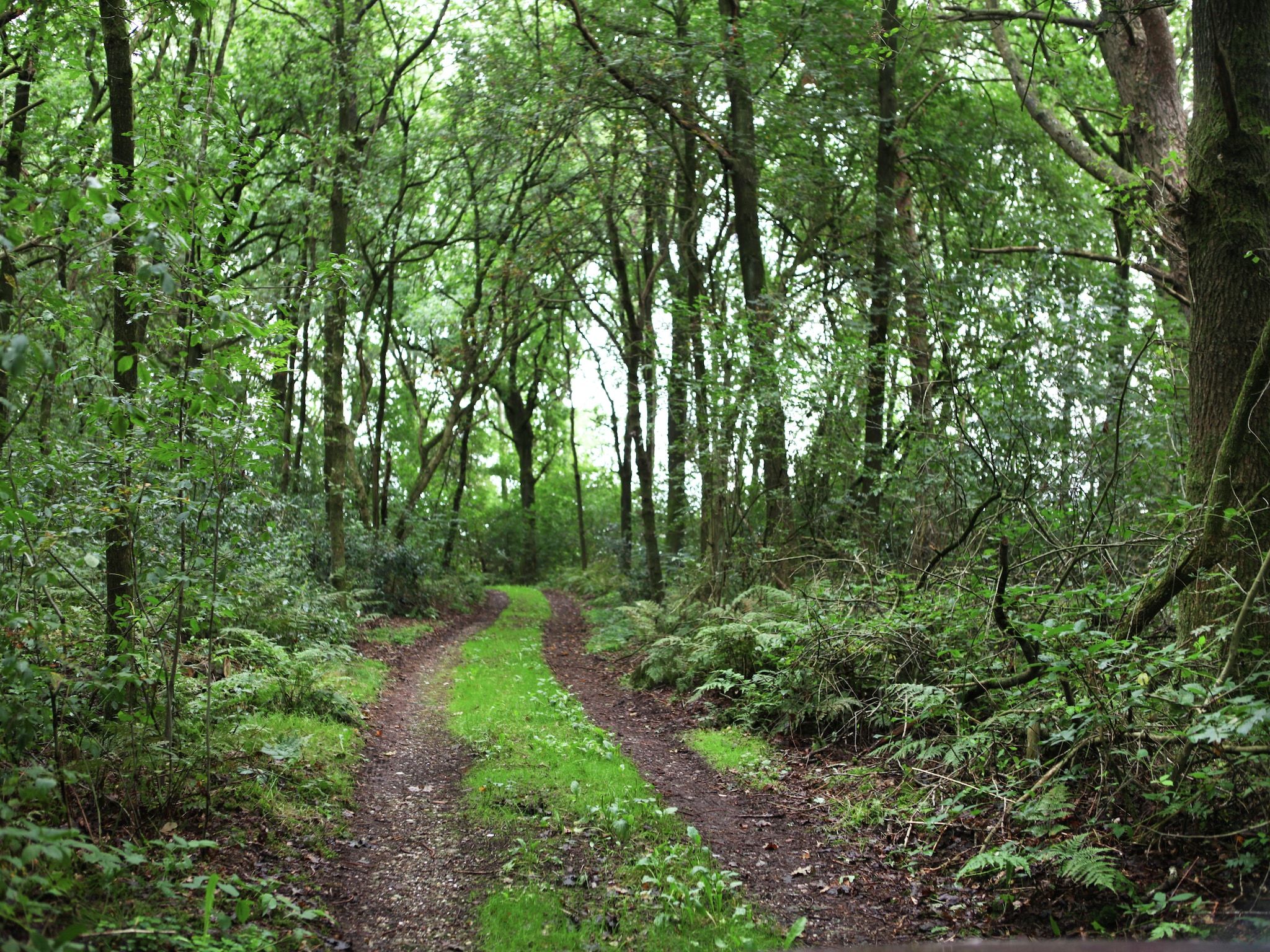 De tuin van De Wildenberg in Zuidwolde