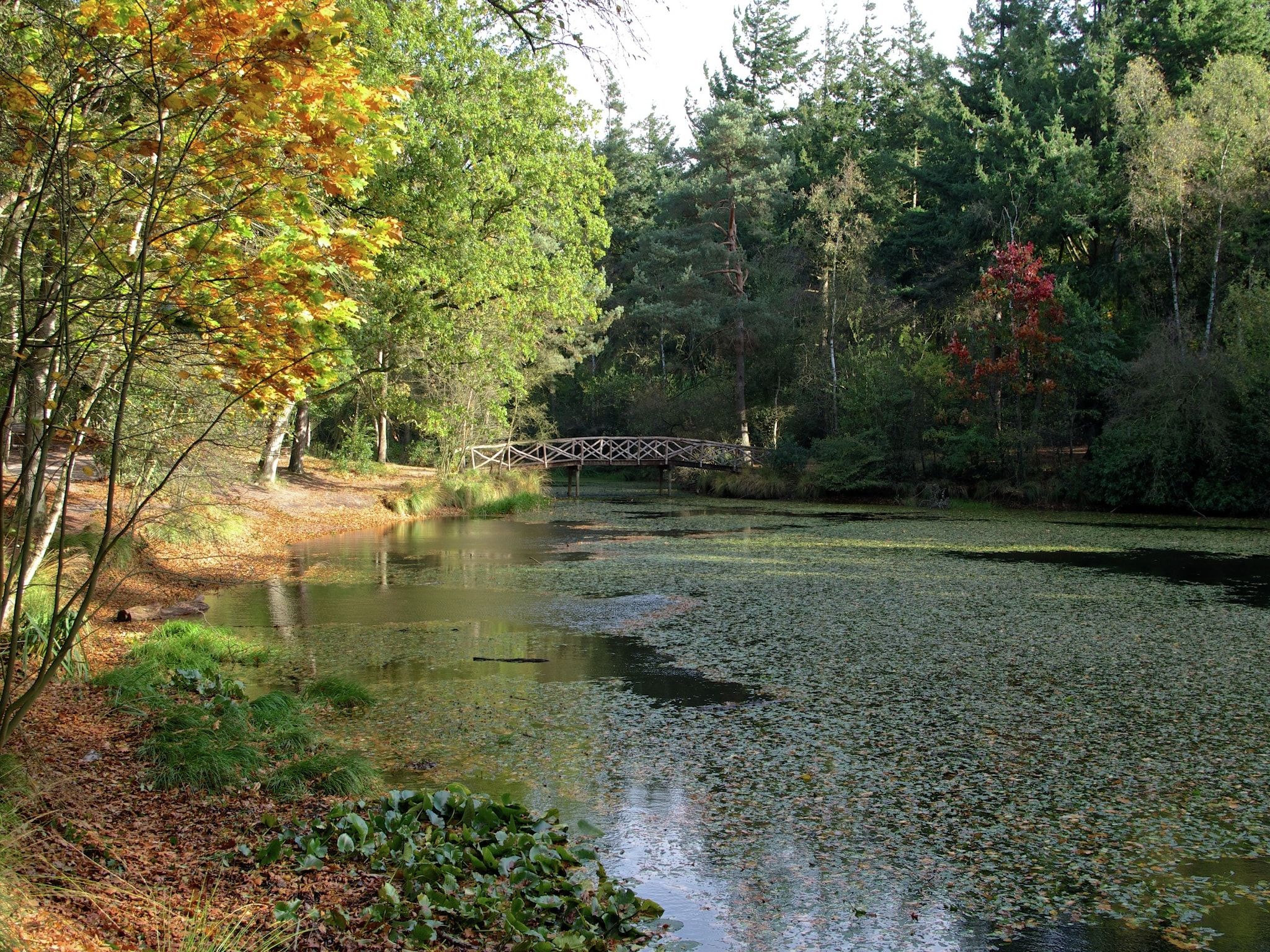 De Meerkoet in Oudemirdum - Foto 20 van 40