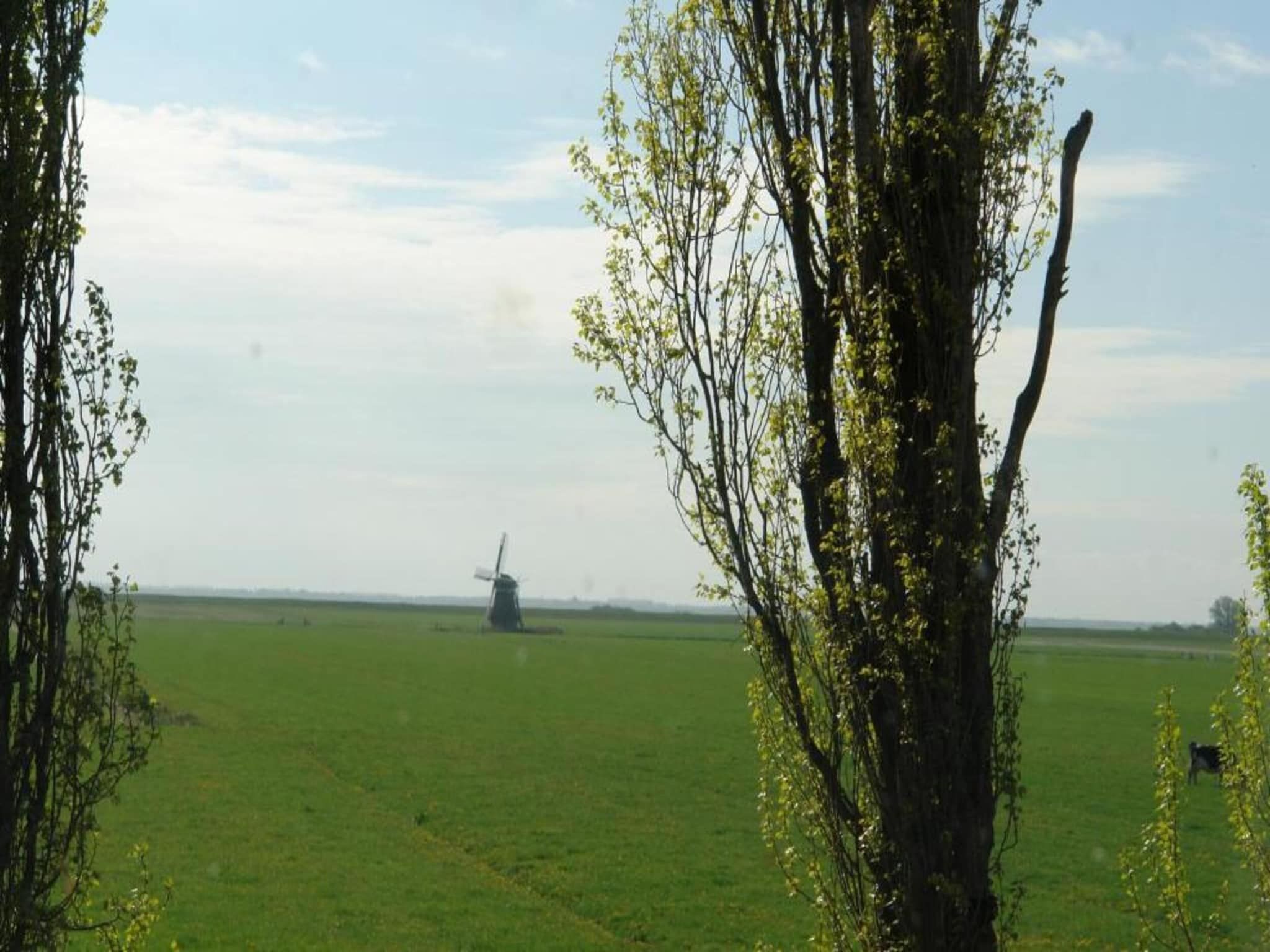 De omgeving van De Meerkoet in Oudemirdum