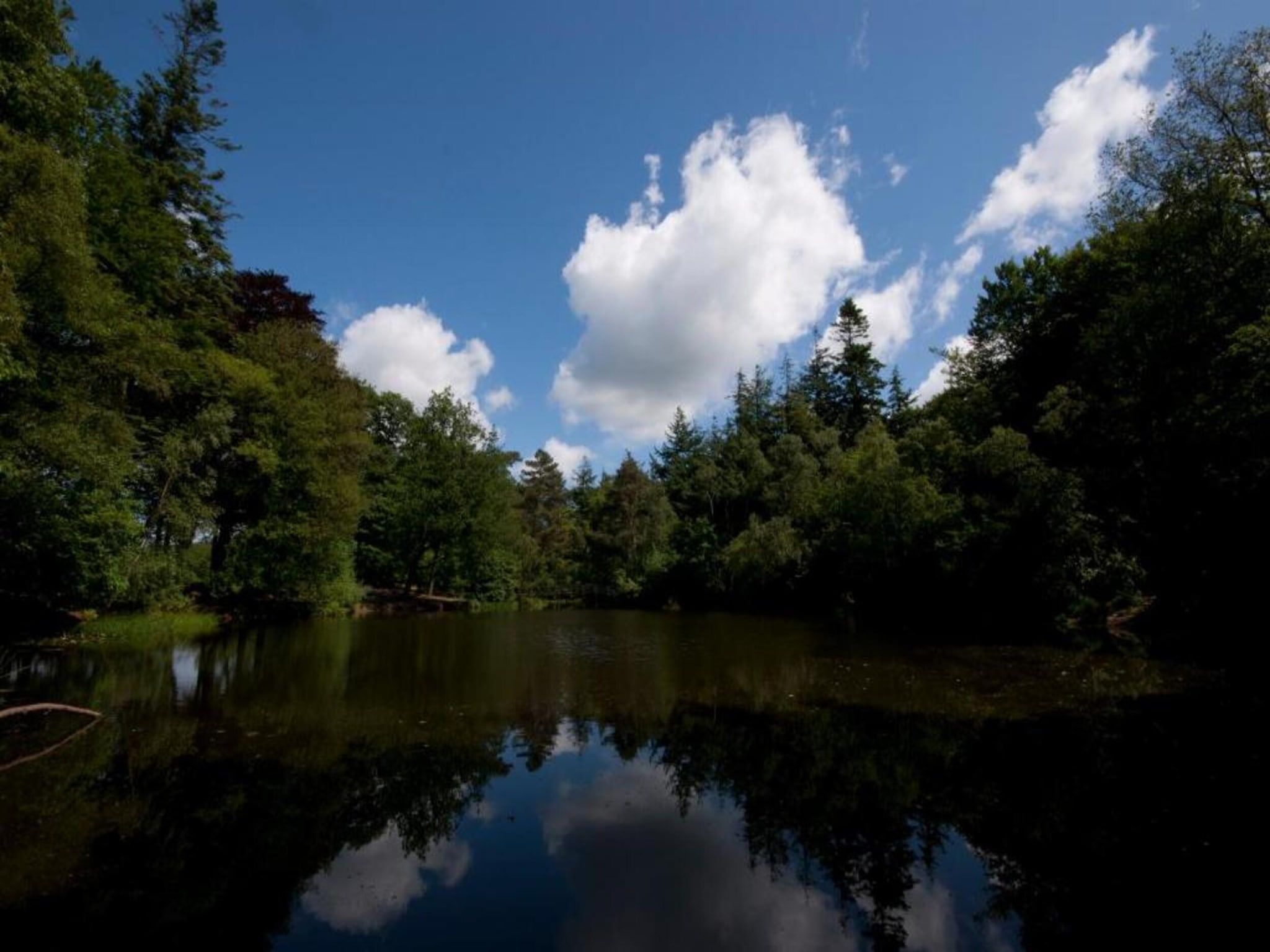 De omgeving van De Meerkoet in Oudemirdum