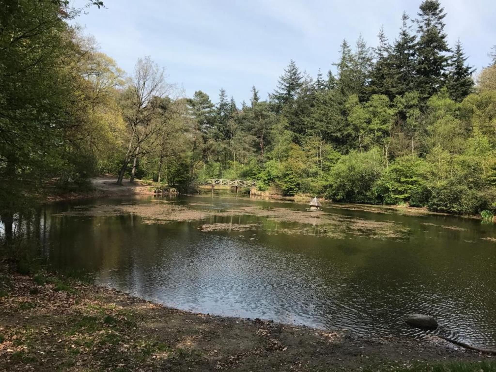 De omgeving van De Meerkoet in Oudemirdum