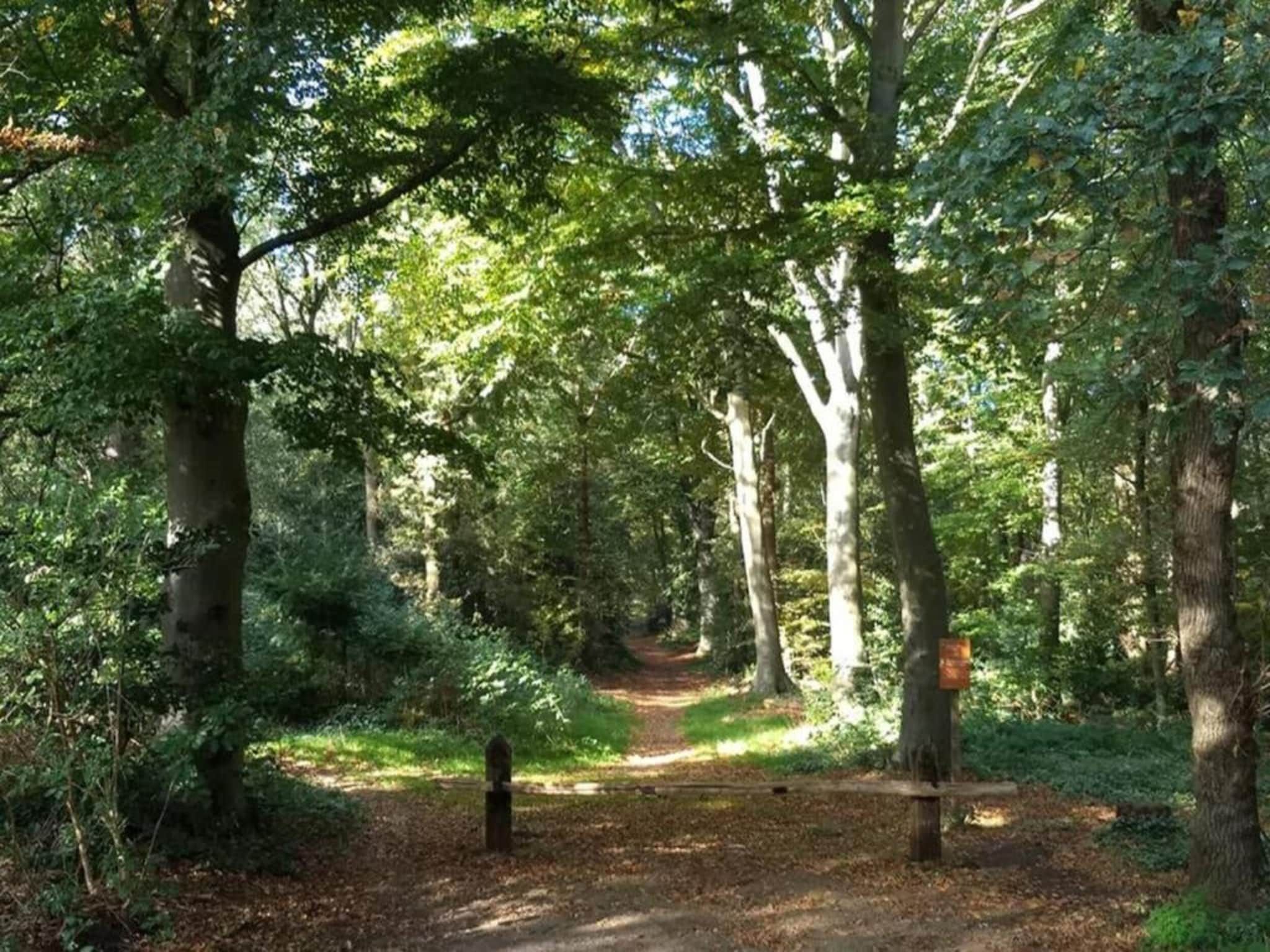 De omgeving van De Meerkoet in Oudemirdum