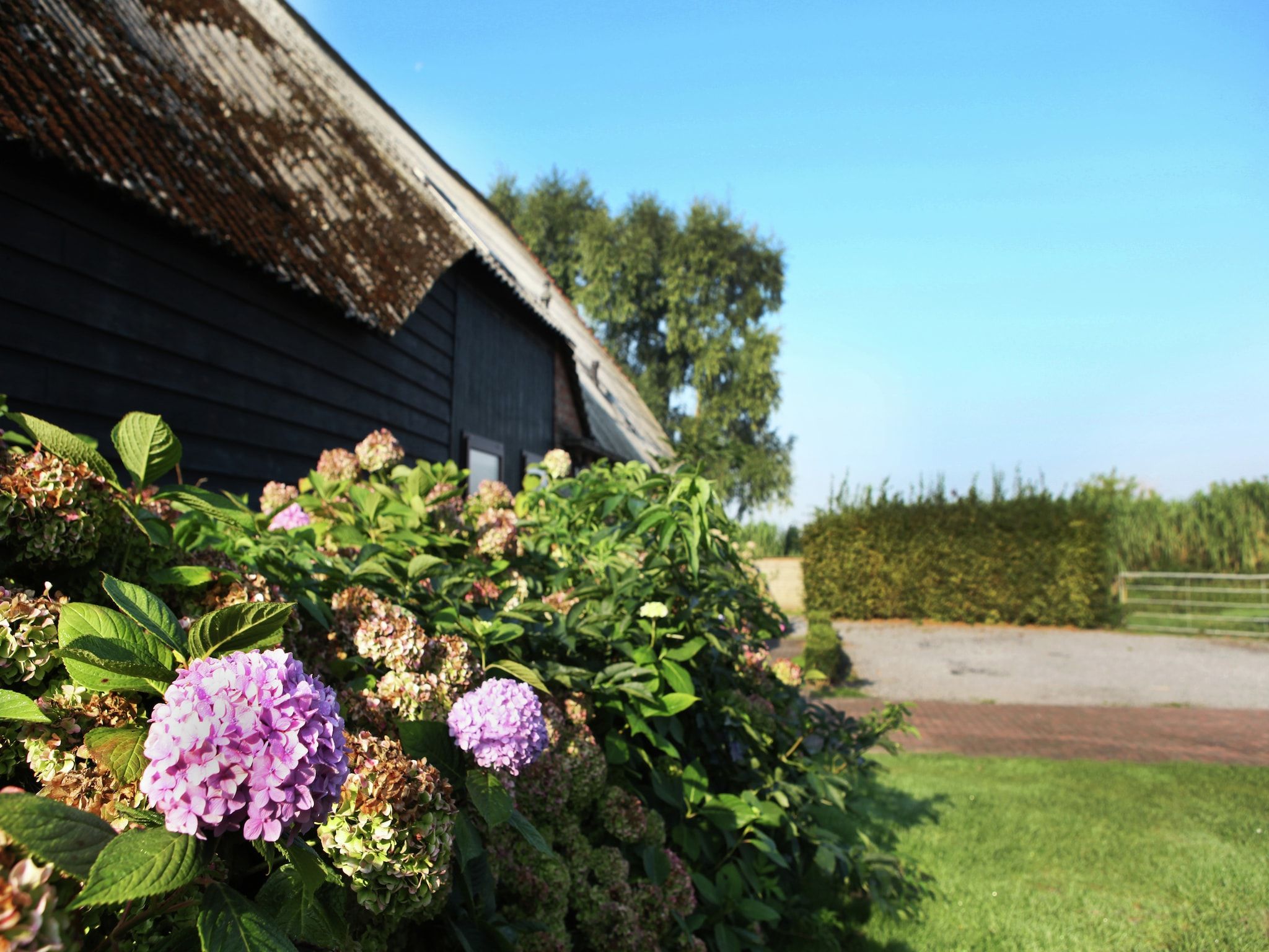 Sfeerbeeld van Appartement De Hooizolder in Eede