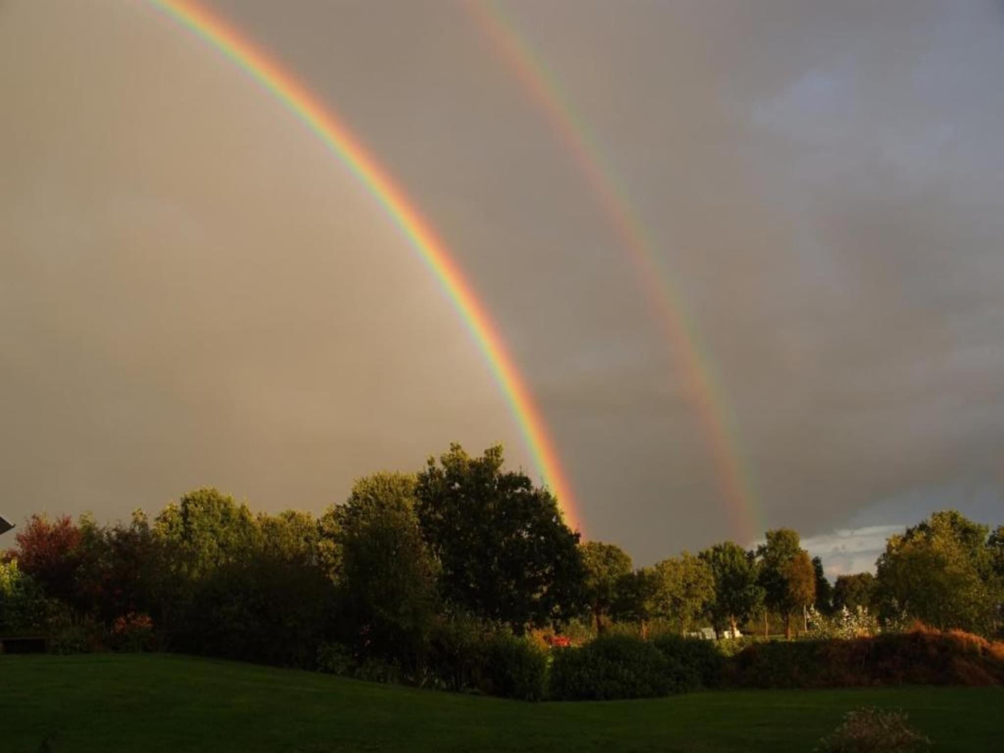 Haulervaart in Waskemeer - Foto 31 van 40
