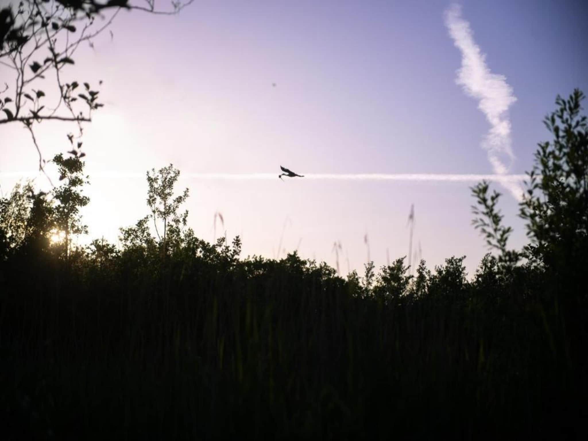 Haulervaart in Waskemeer - Foto 33 van 40