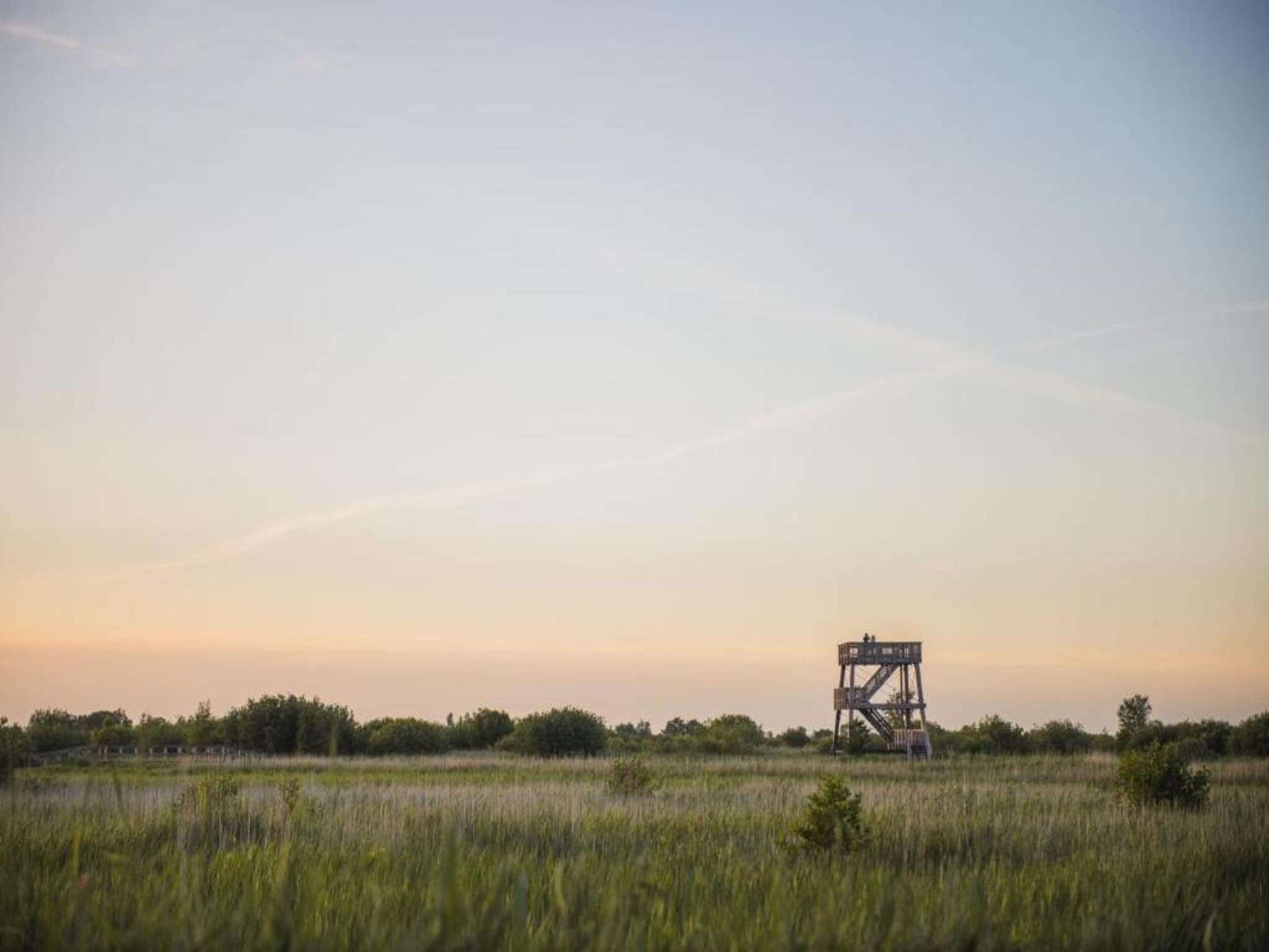 Haulervaart in Waskemeer - Foto 35 van 40