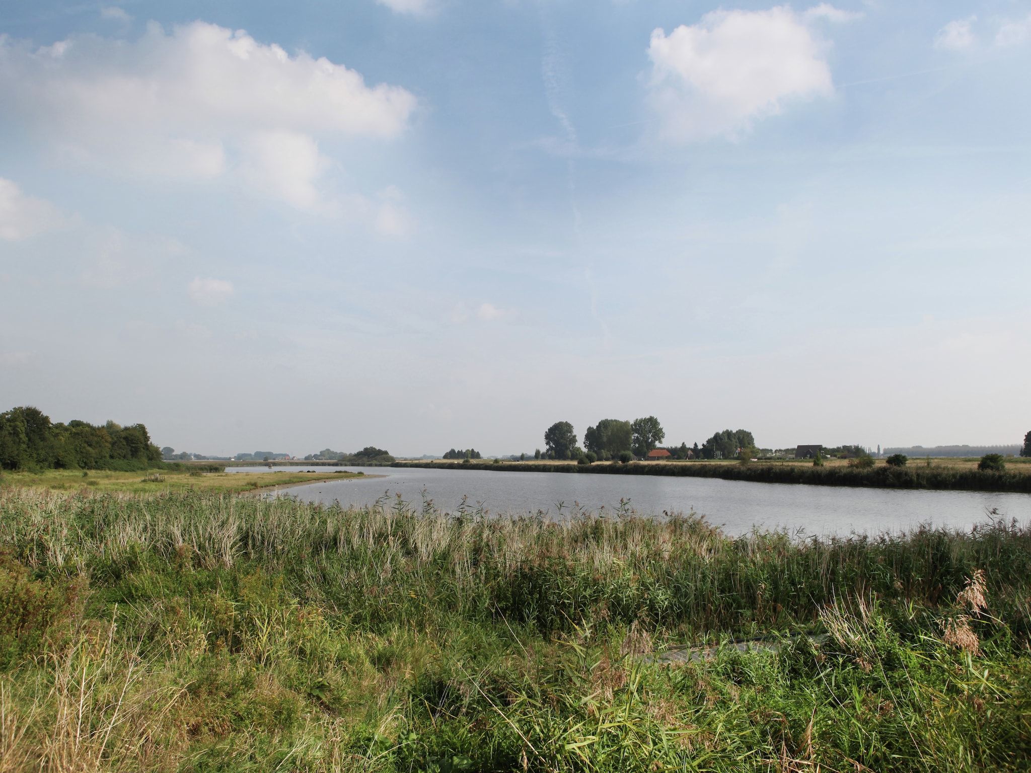 De omgeving van De Biezenpolder 't Groothuus in Eede