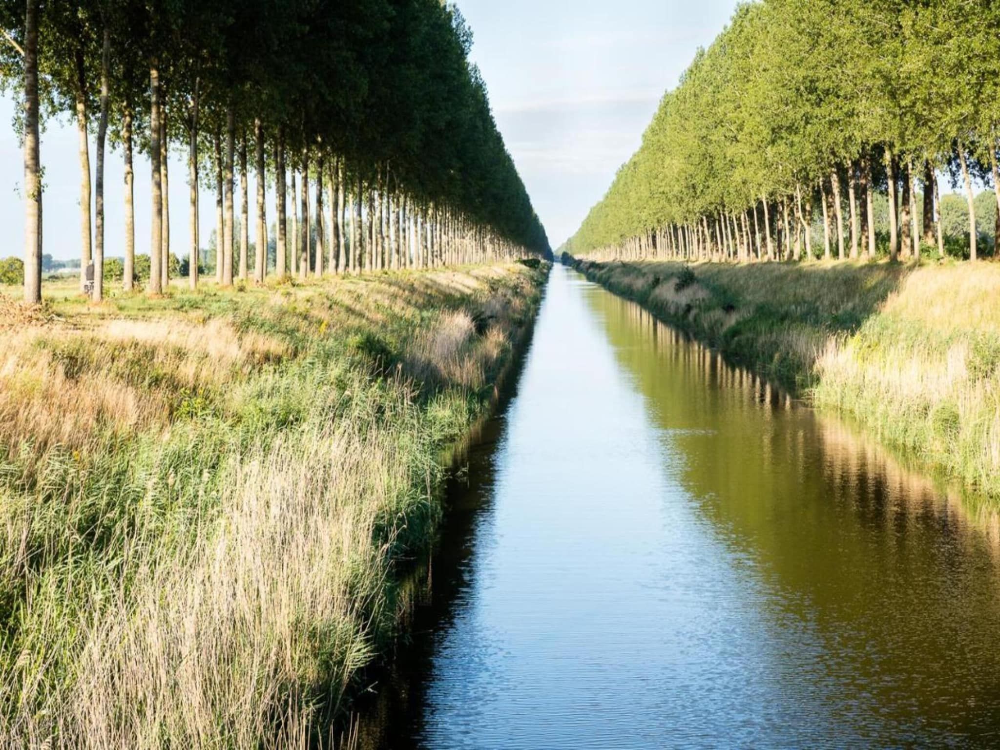 De Biezenpolder 't Groothuus in Eede - Foto 22 van 40