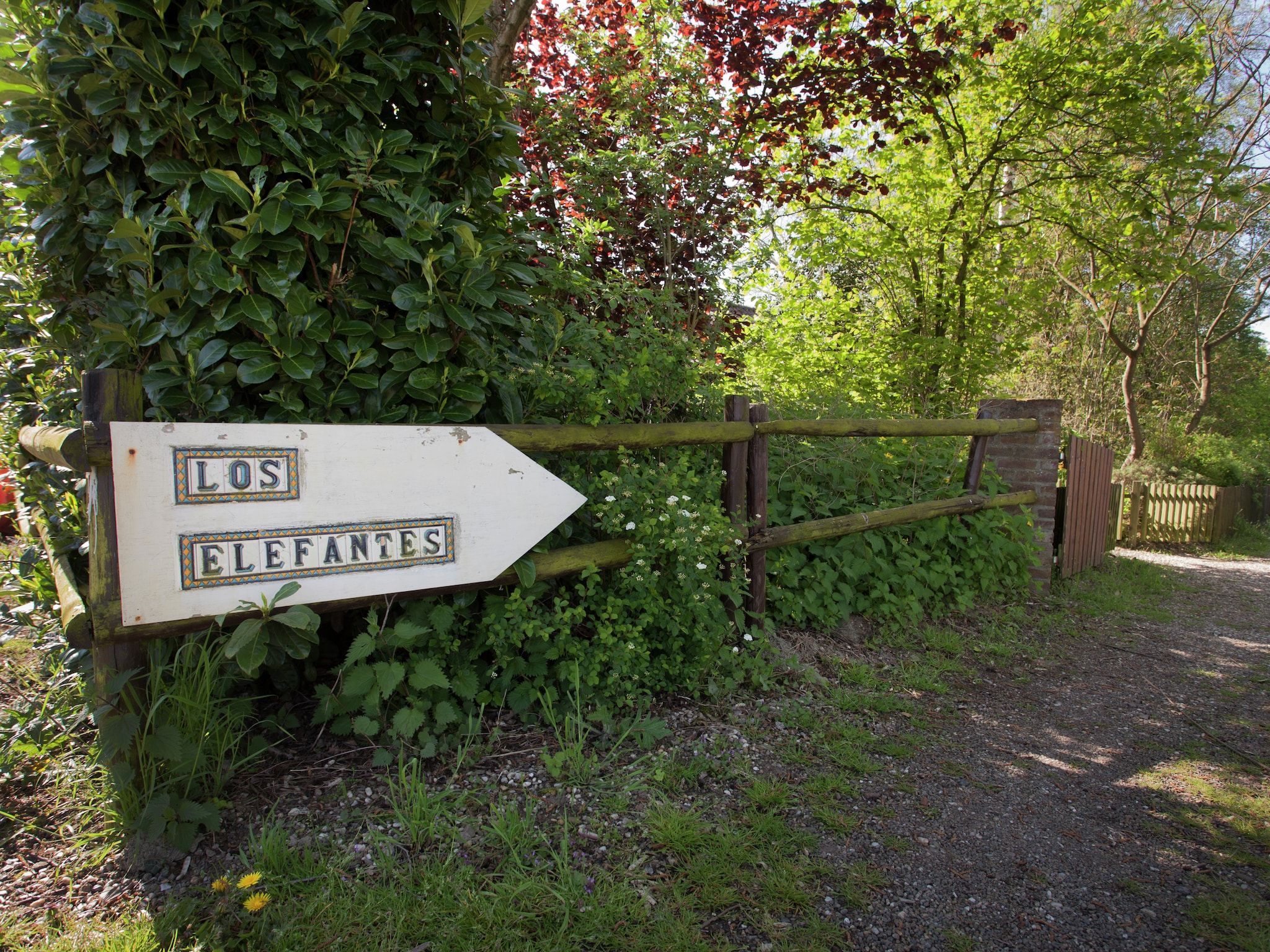 Sfeerbeeld van Los Elefantes in Sint Joost