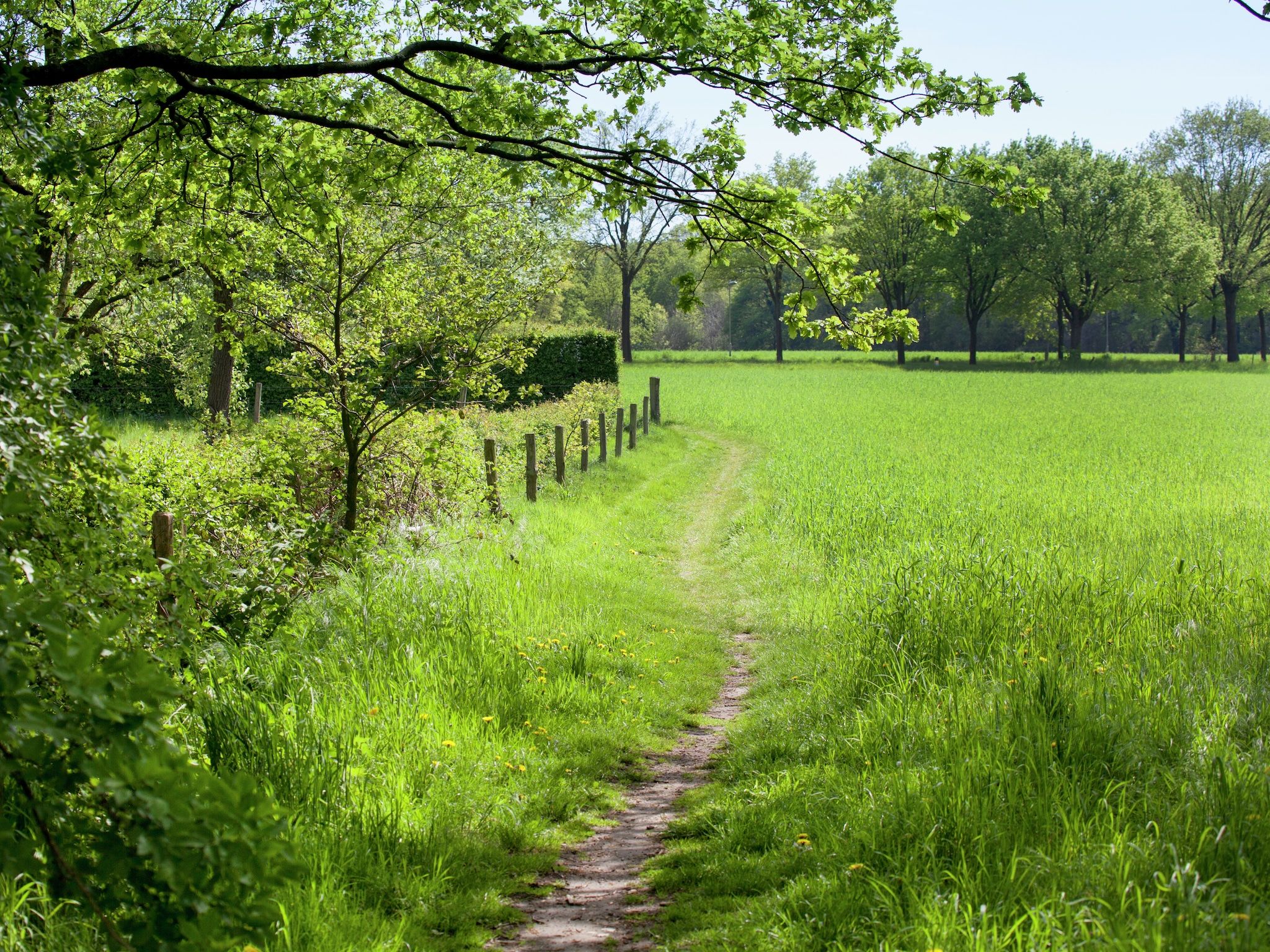 Los Elefantes in Sint Joost - Foto 24 van 40