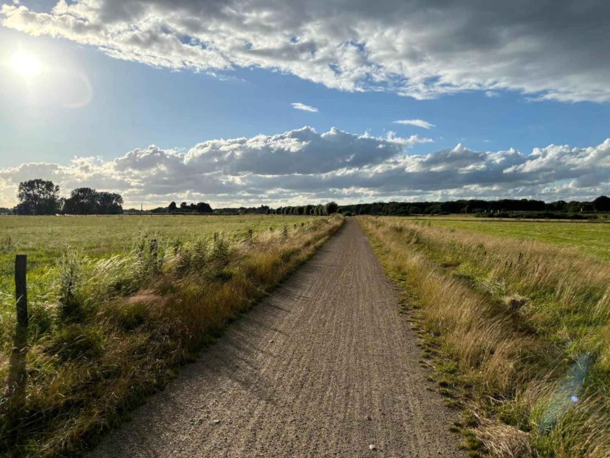 Los Elefantes in Sint Joost - Foto 35 van 40