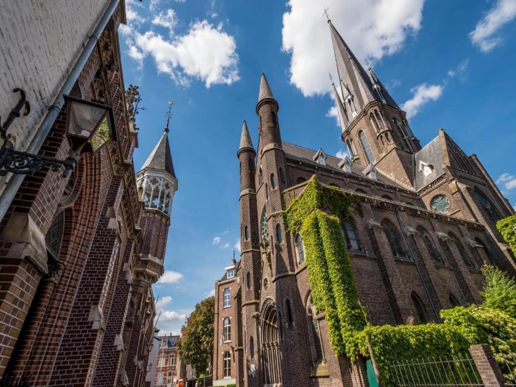 Los Elefantes in Sint Joost - Foto 36 van 40