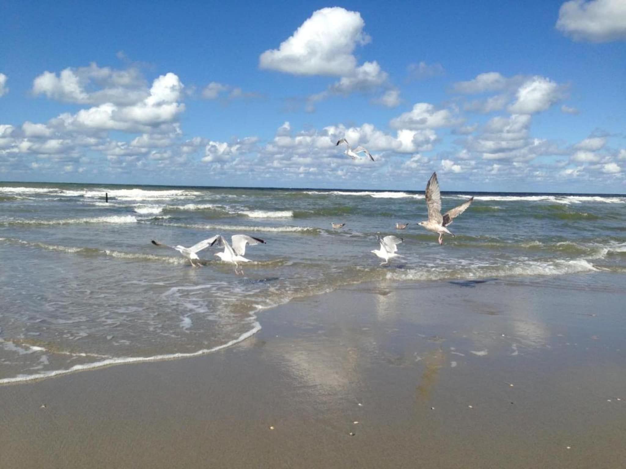 Strandpark Vlugtenburg 3 in 's-Gravenzande - Foto 32 van 40