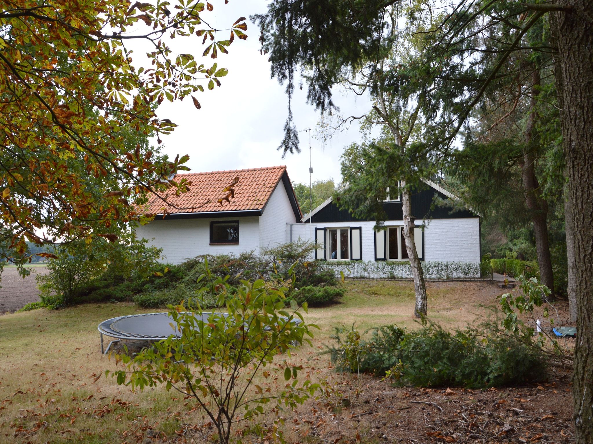 De tuin van Huis in het bos in Oploo
