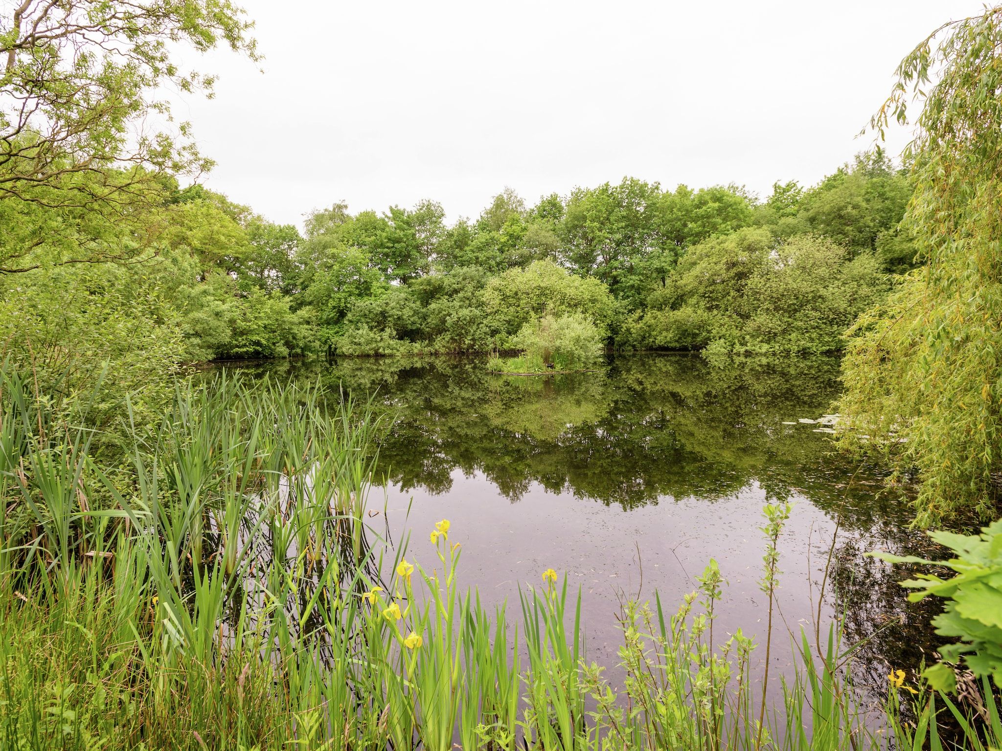 De Eekhorst in Balkbrug - Foto 31 van 40