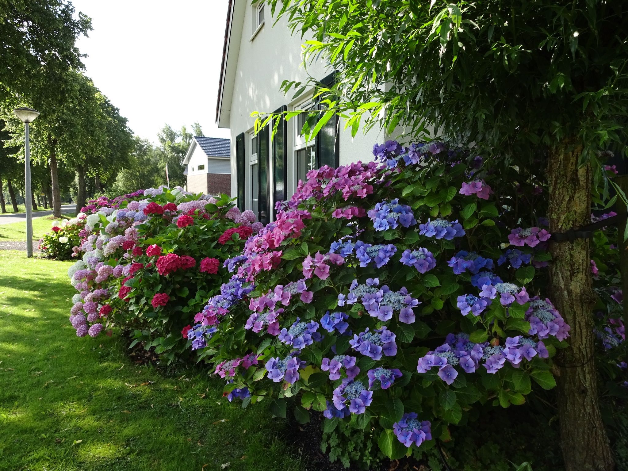 Sfeerbeeld van Villa ten Hoeve in Steendam