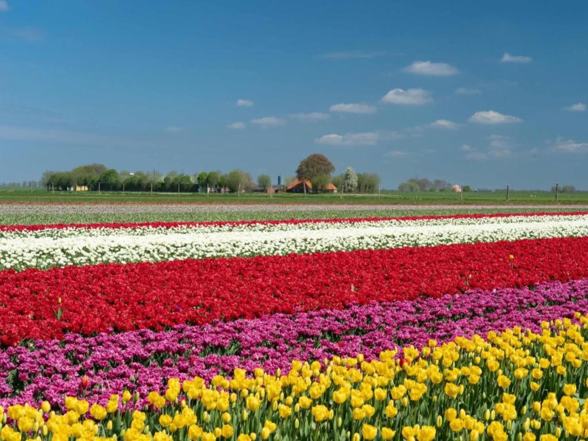 Vakantiepark Eigen Wijze 4 in Bant - Foto 26 van 27