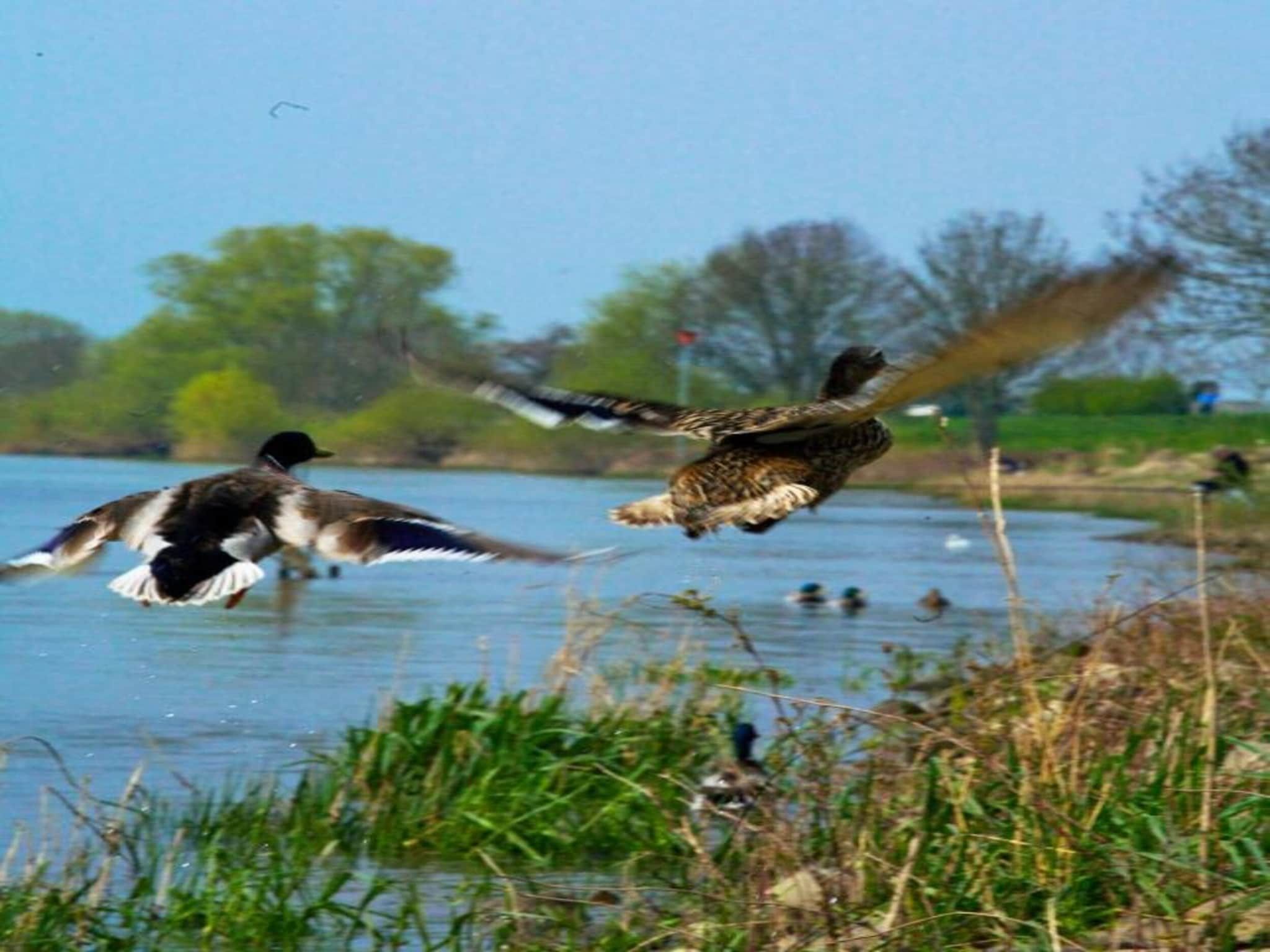 Vakantiepark Klein Vink 13 in Arcen - Foto 30 van 40