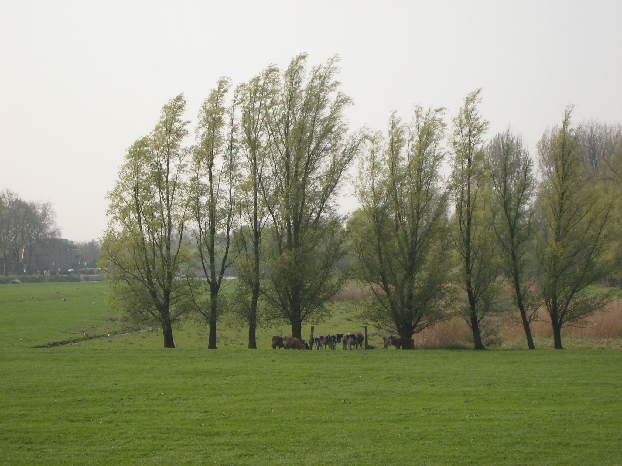 Hoeve Hoogst Tevreden in Leerdam - Foto 35 van 40
