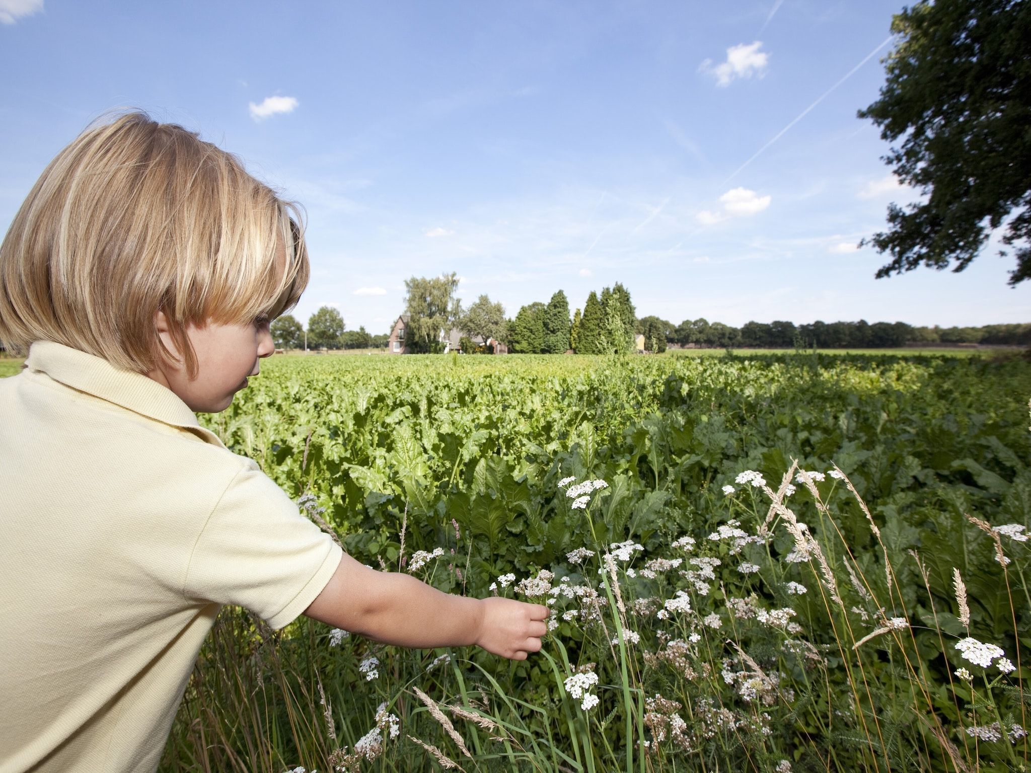 De omgeving van Vakantiepark Hunzedal 6 in Borger