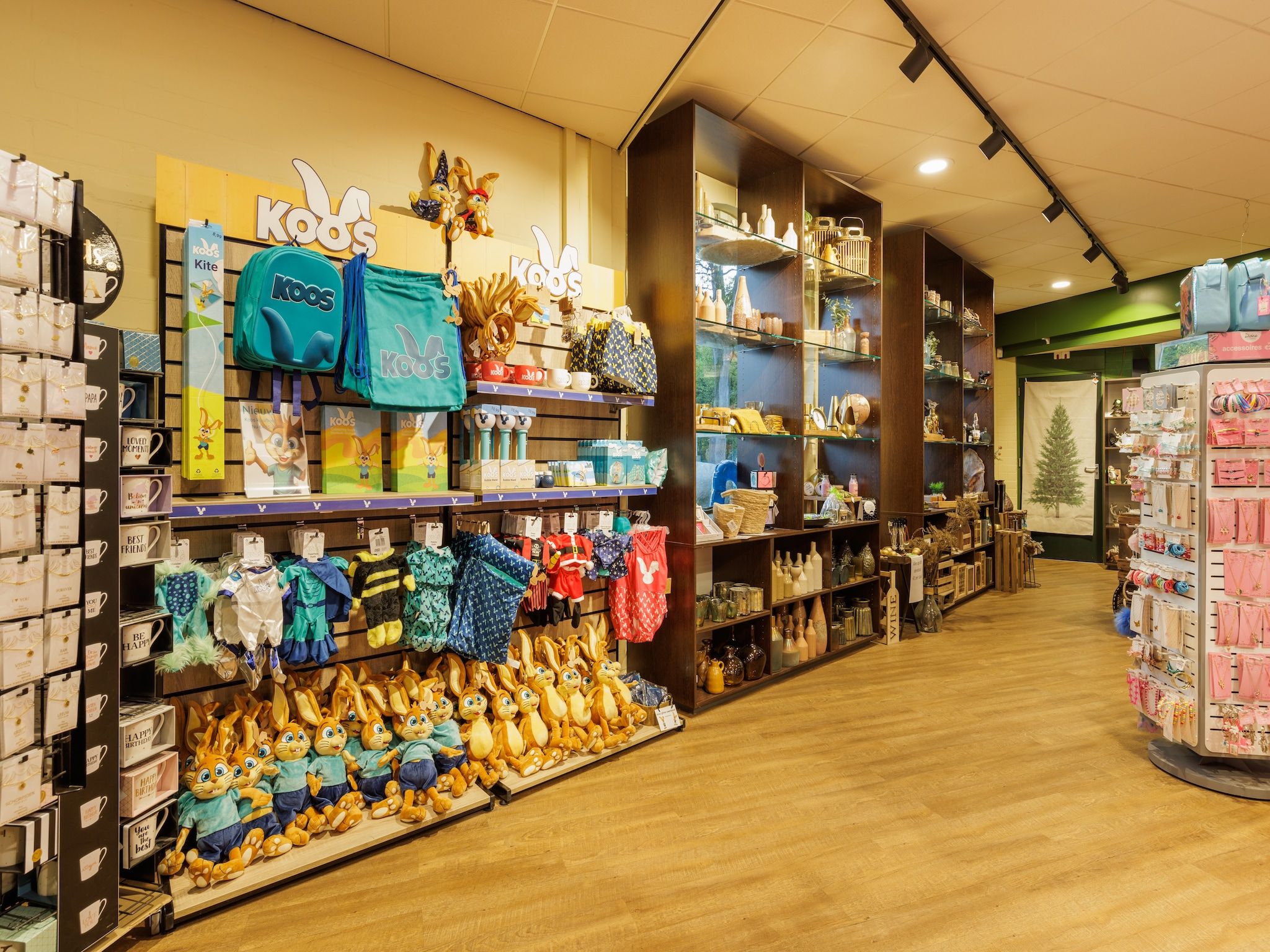 Parkfaciliteiten bij Vakantiepark Hunzedal 6 in Borger