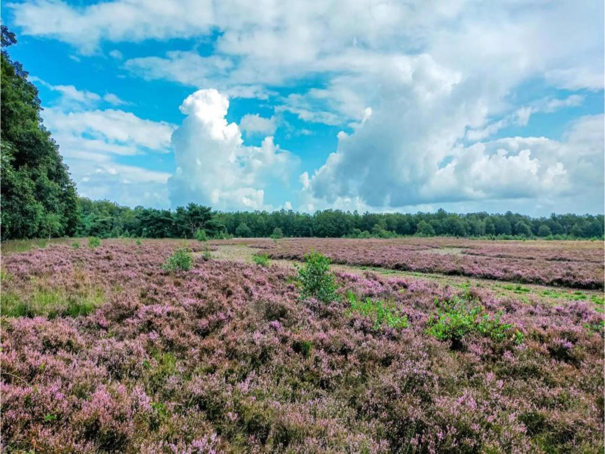 Vakantiepark Hunzedal 6 in Borger - Foto 36 van 40