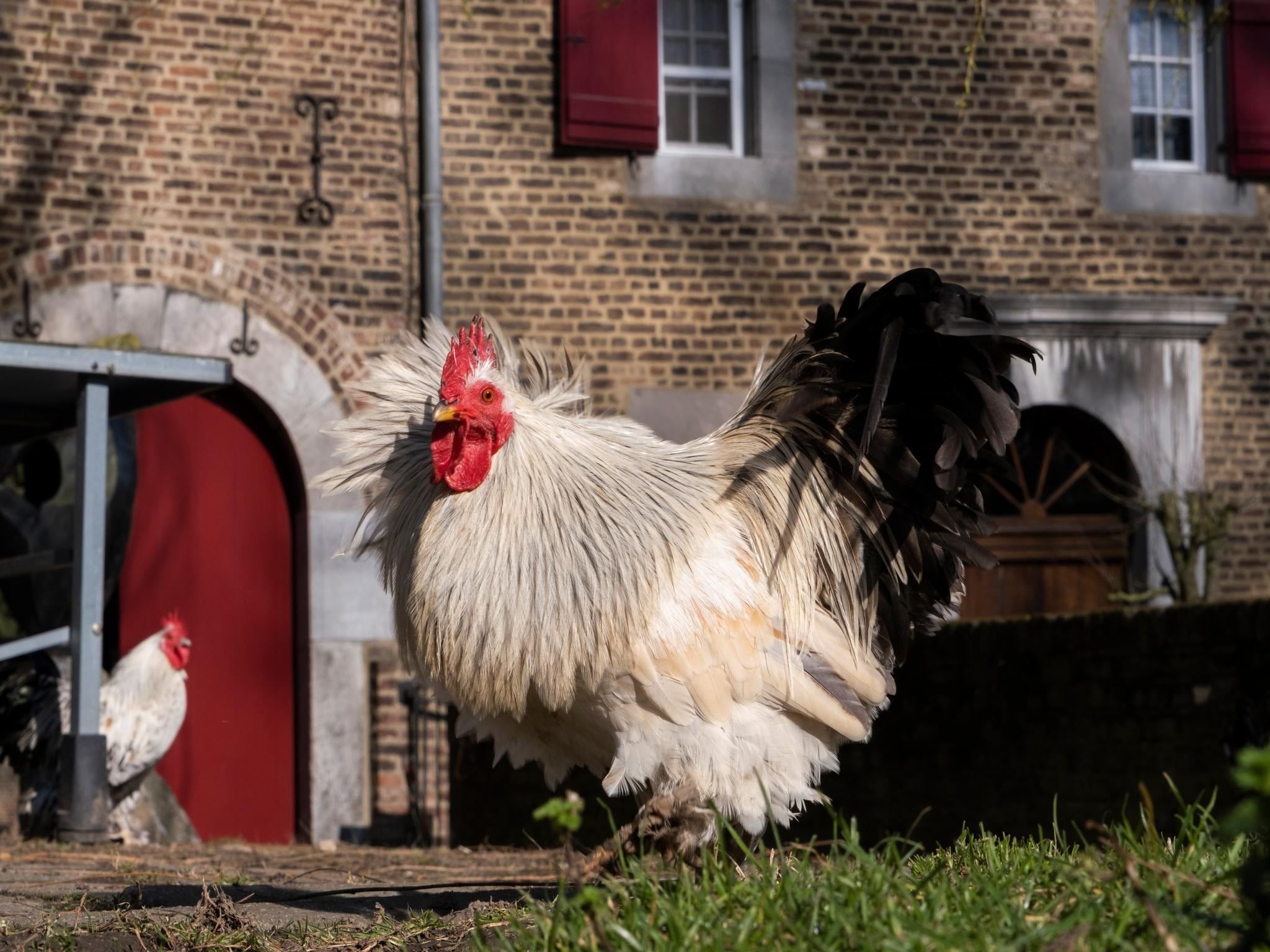 Meschermolen 10 in Mesch-Eijsden - Foto 26 van 40