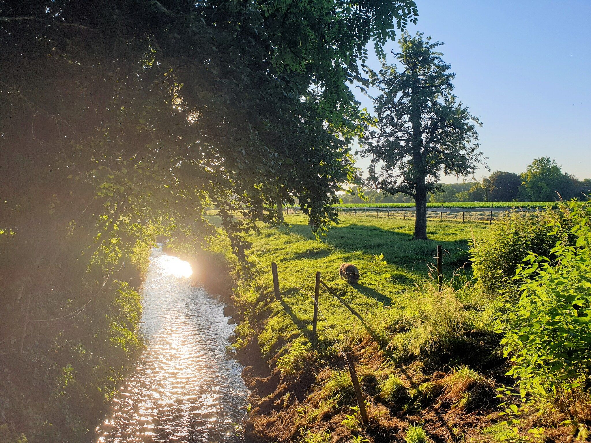 Meschermolen 6 in Mesch-Eijsden - Foto 31 van 39
