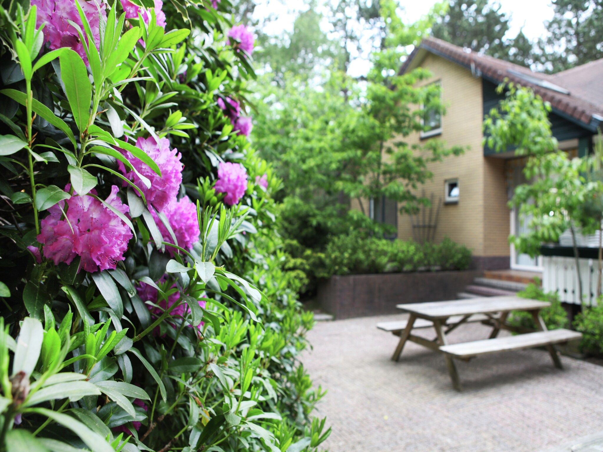 De tuin van De grove Den in Doornspijk