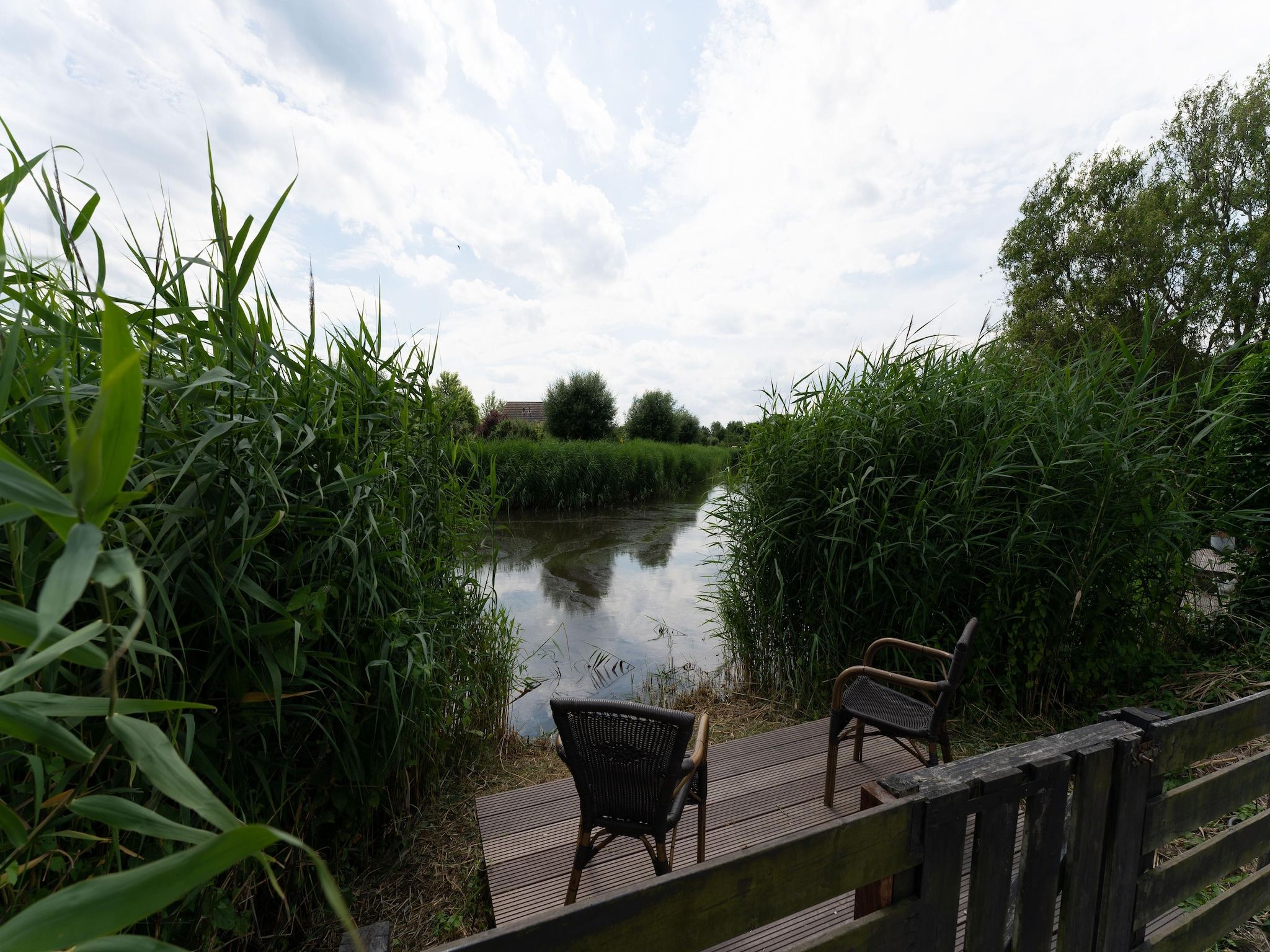 Het uitzicht vanaf Buitenplaats Enjoy in Zeewolde