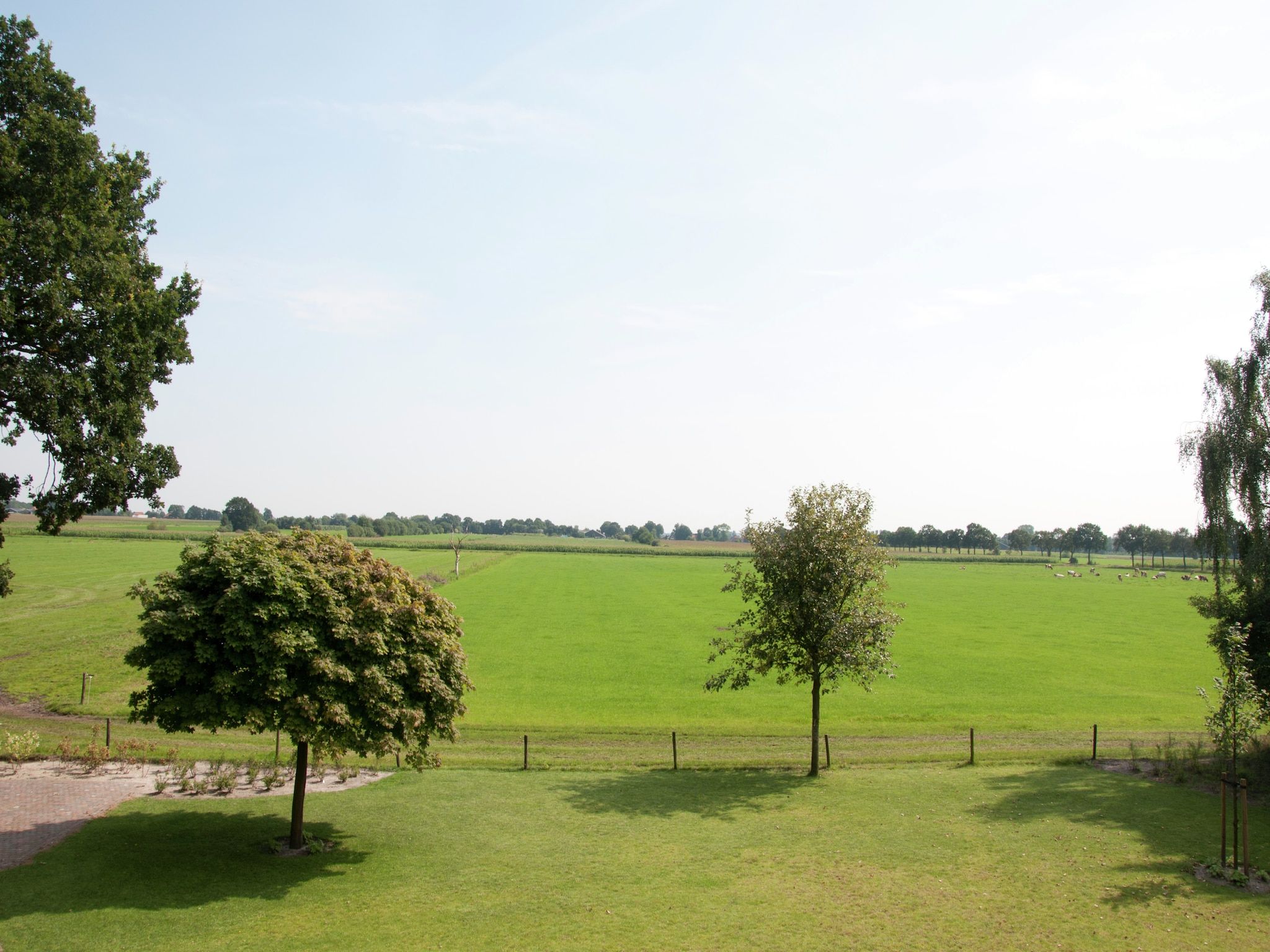 Het uitzicht vanaf Landhuis de Linde in Nijensleek