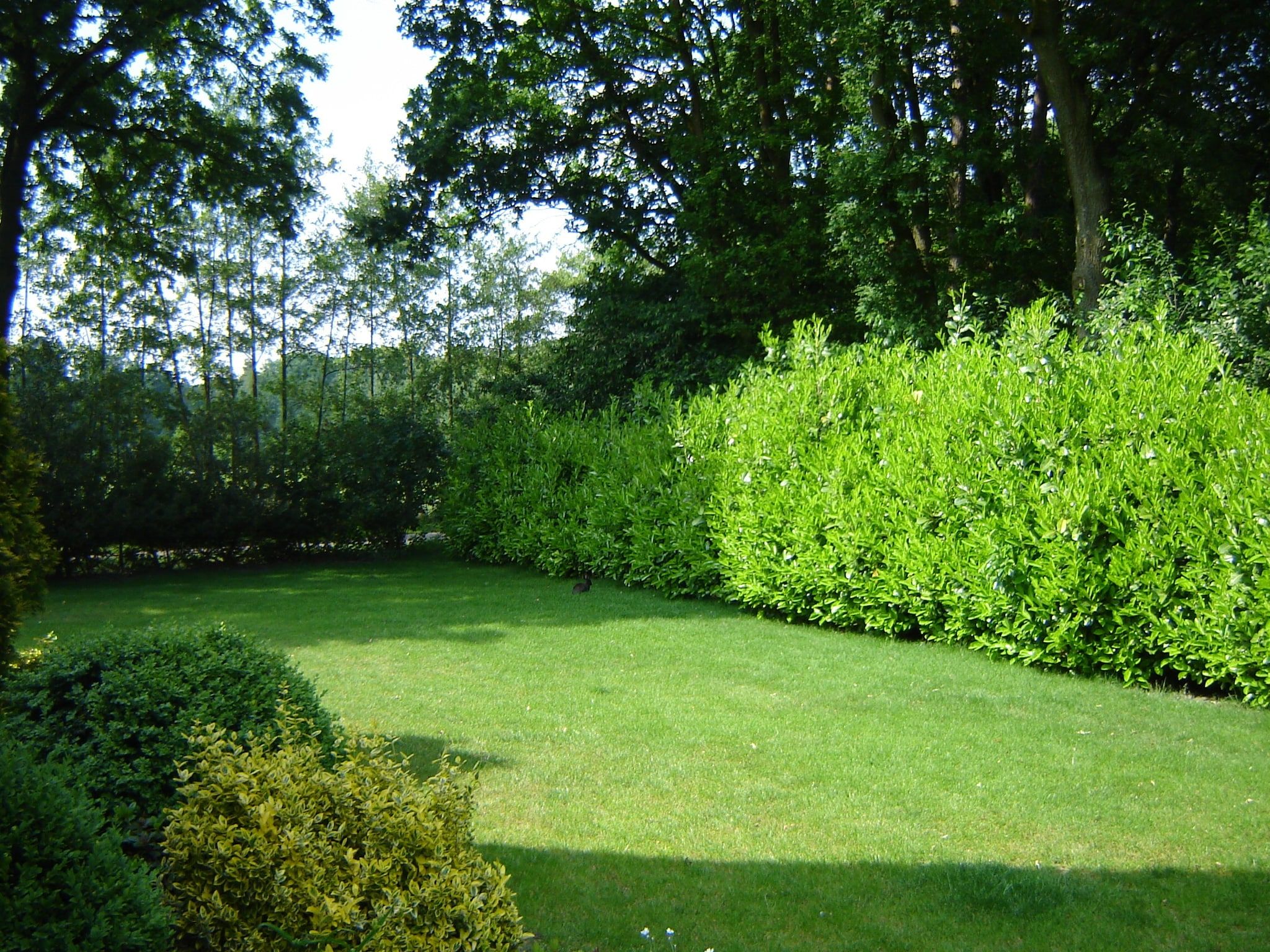 De tuin van de Lansert in Vessem