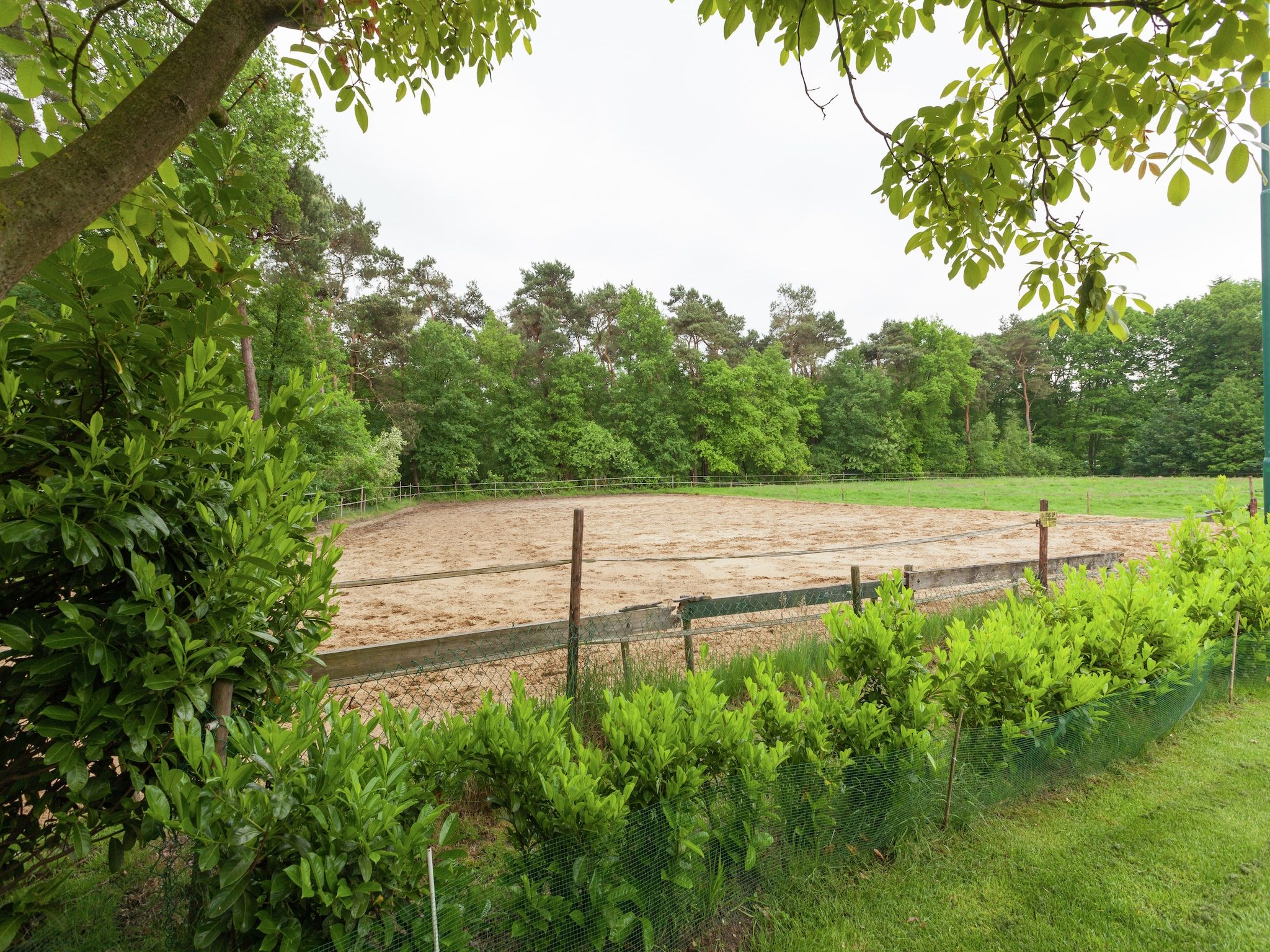 de Lansert in Vessem - Foto 43 van 52