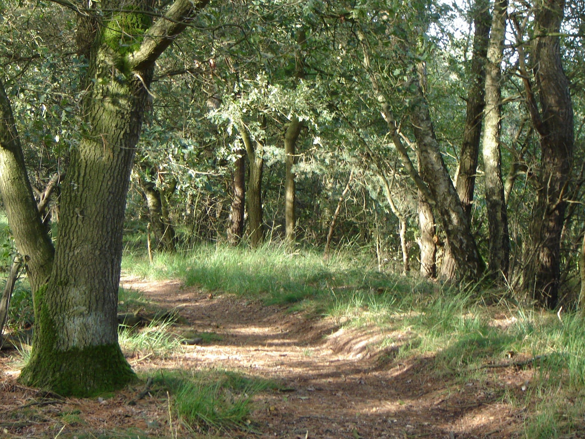 De omgeving van de Lansert in Vessem