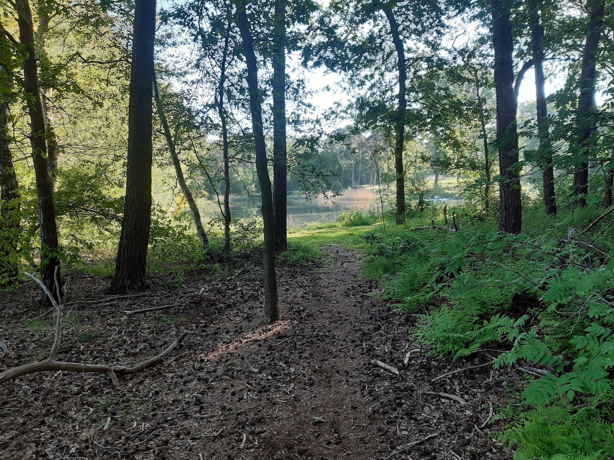 De omgeving van de Lansert in Vessem