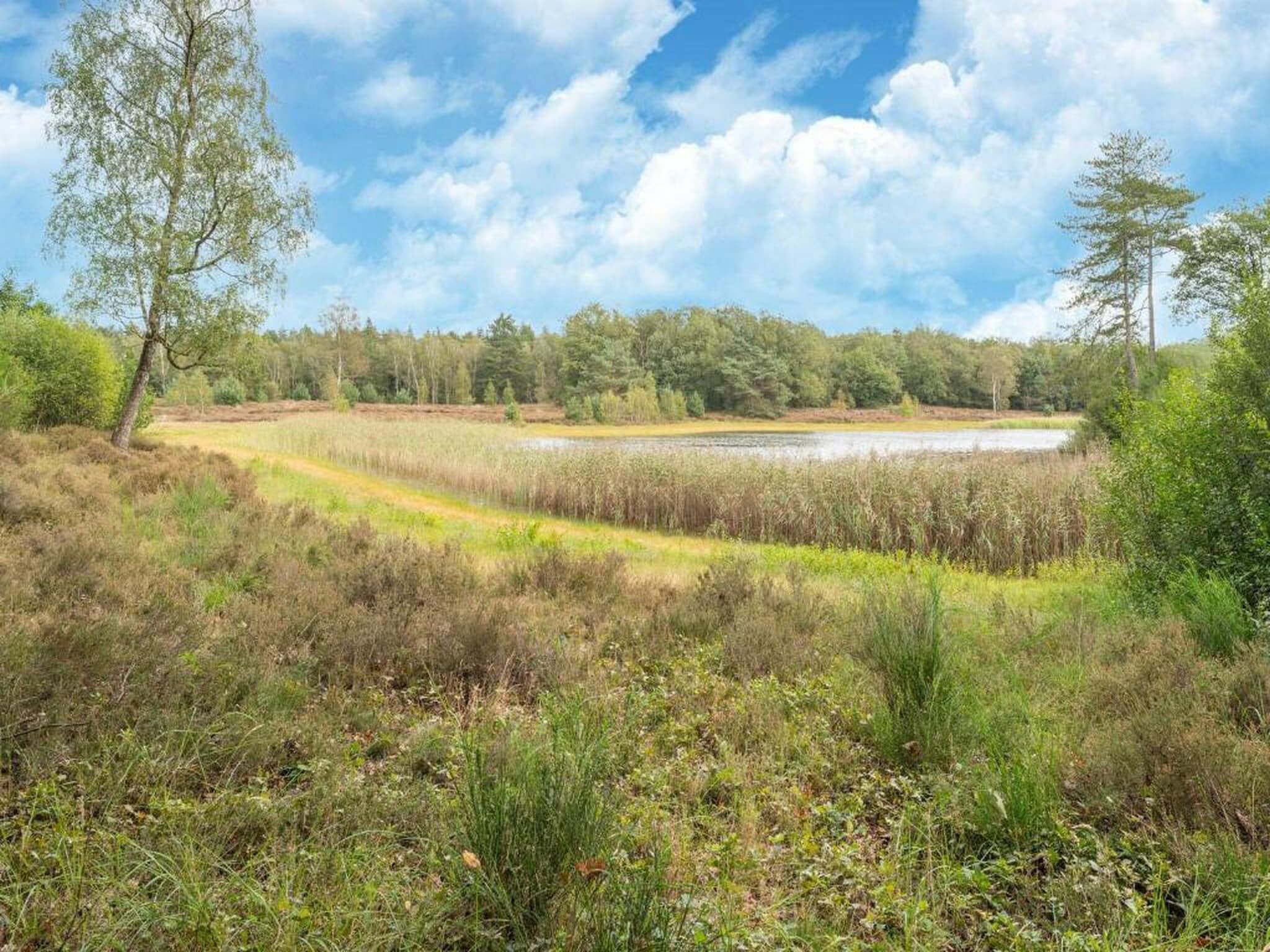 Vakantiepark Horsetellerie 7 in Hardenberg (rheezerveen) - Foto 36 van 41