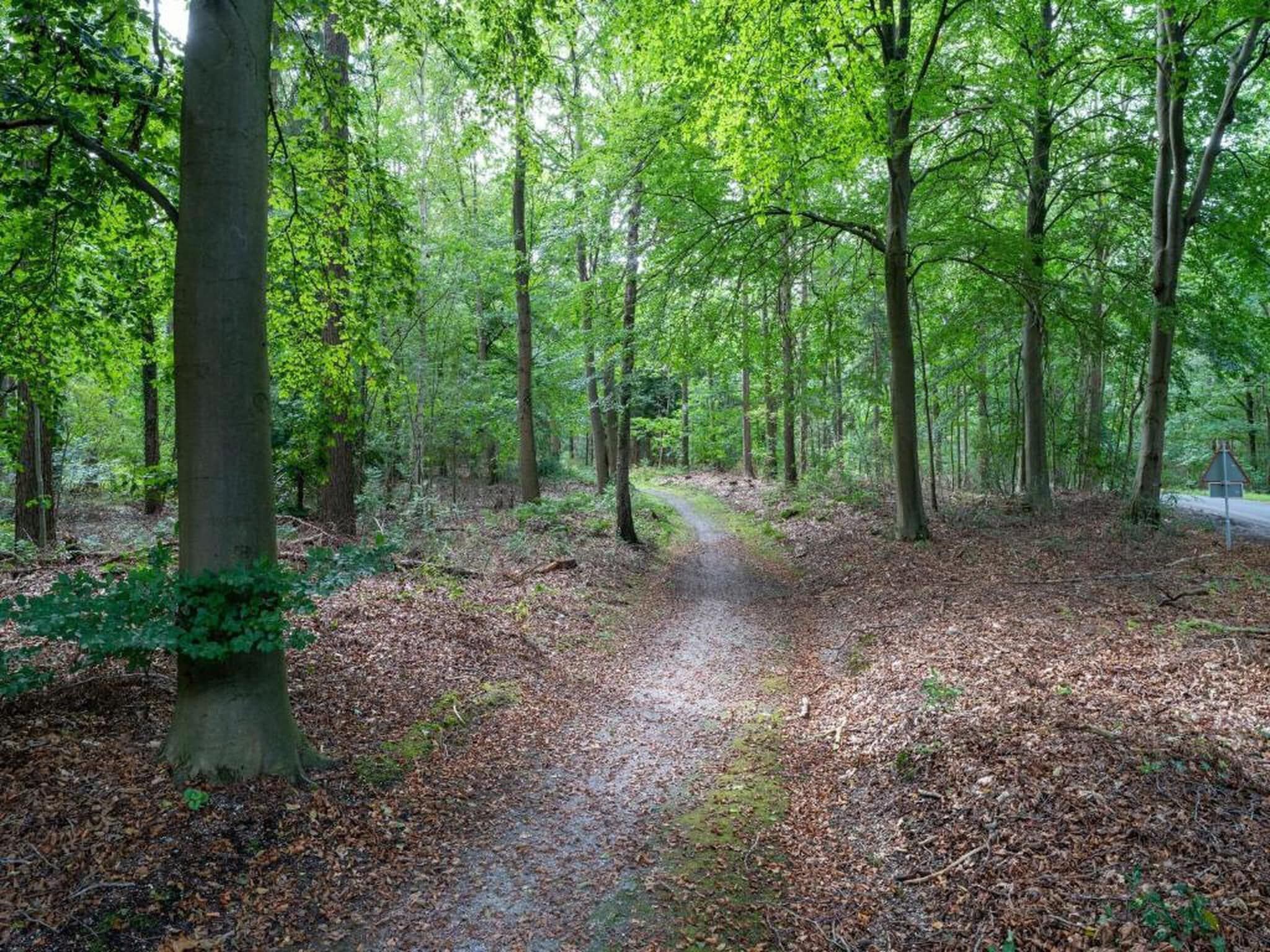 Vakantiepark Horsetellerie 7 in Hardenberg (rheezerveen) - Foto 38 van 41