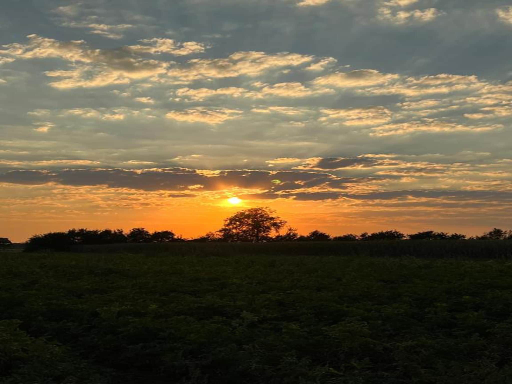 Vakantiepark Horsetellerie 7 in Hardenberg (rheezerveen) - Foto 40 van 41